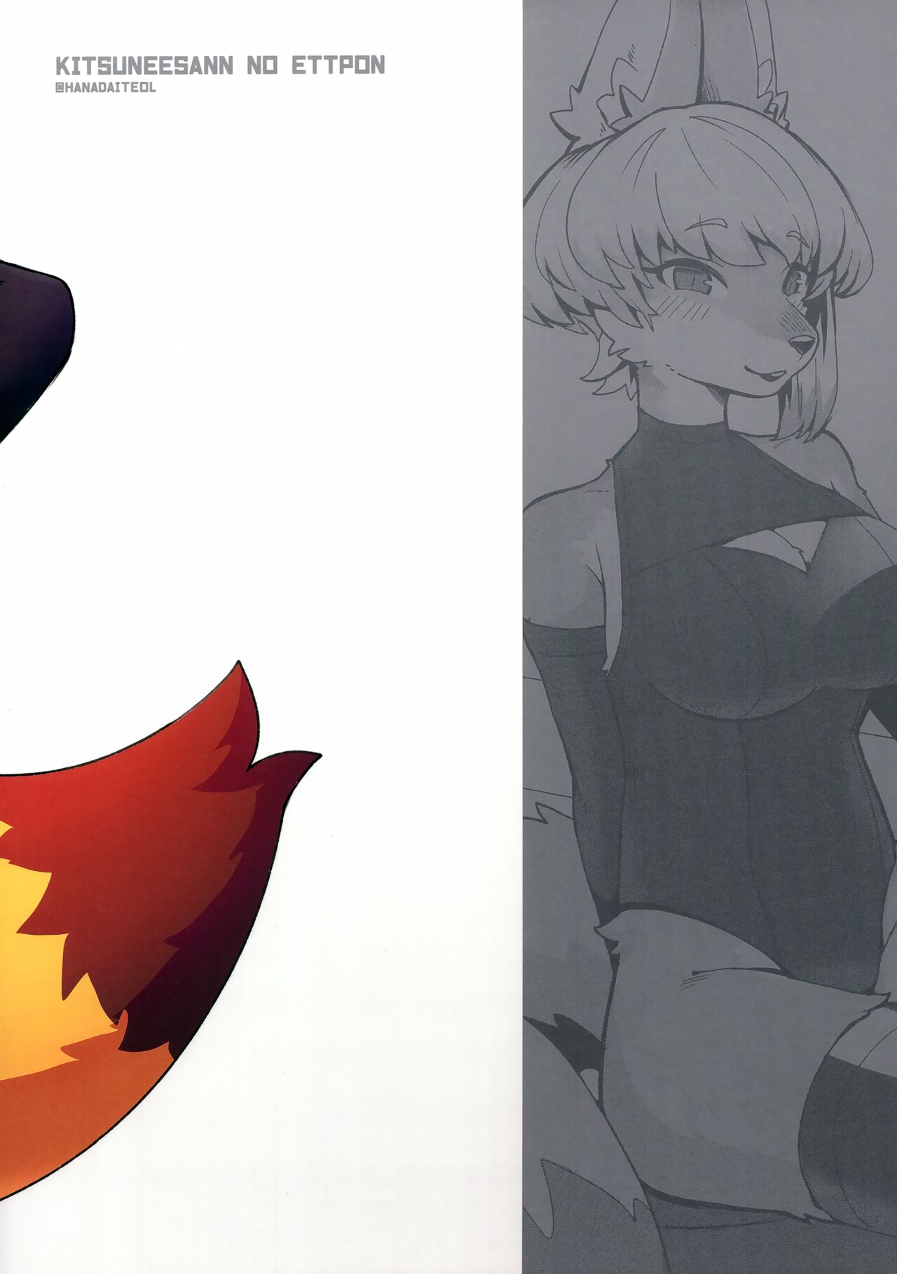 (Kemoket 14) [Teoruya-san (Teol)] Kitsu Nee-san no Ehhon 이미지 번호 18