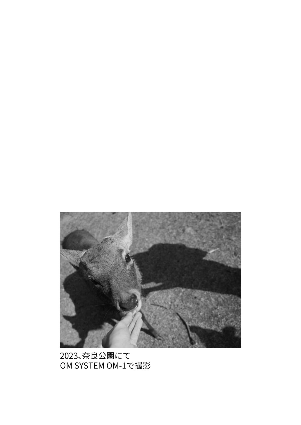 [Kazbox (Kazma)] Shikanoko Shikoshiko Ude Panpan (Shikanoko Nokonoko Koshitantan) [Portuguese-BR] [VITOR EXPEDITO] [Digital] 이미지 번호 17