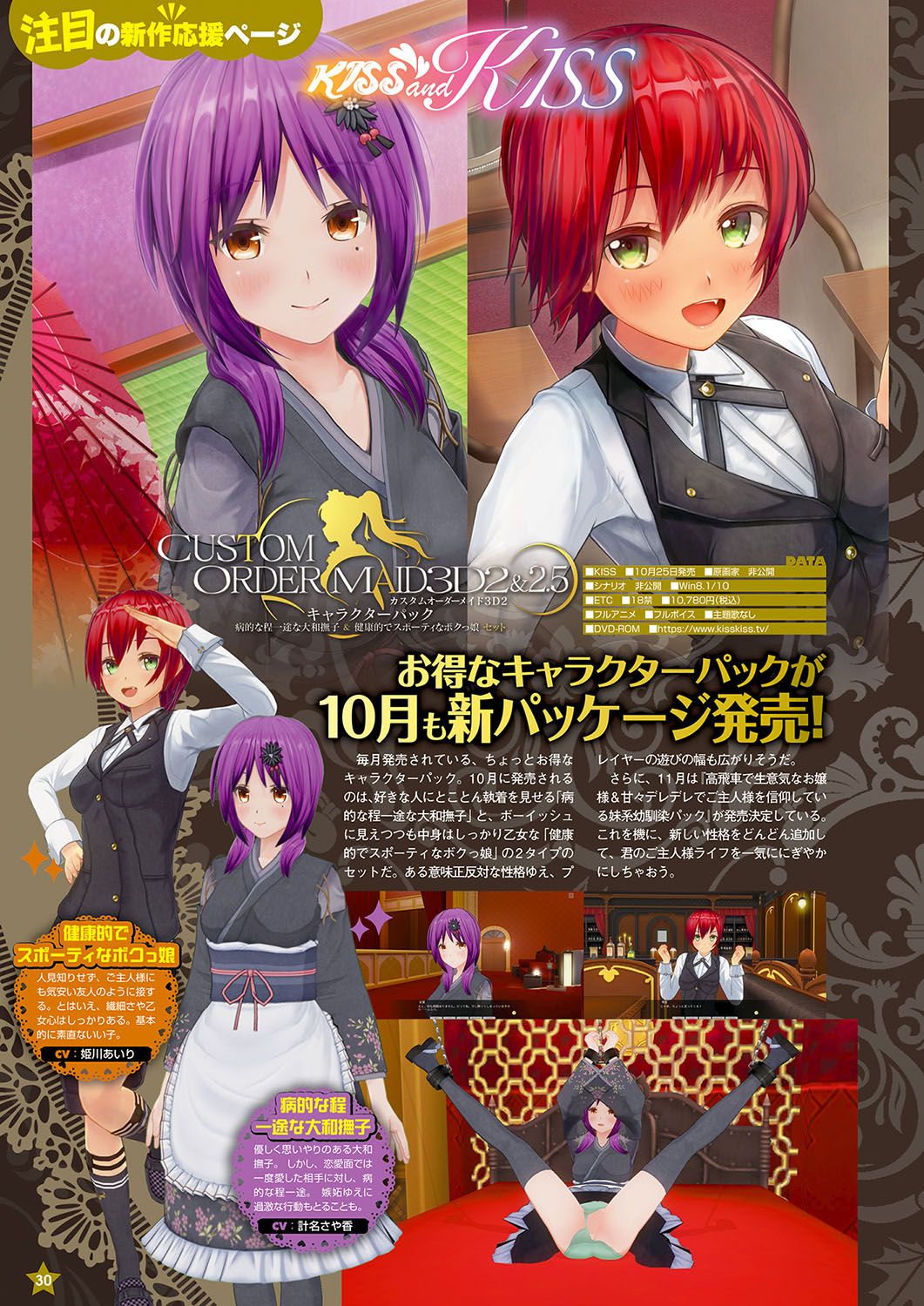 Monthly Megastore 2024-11 画像番号 23