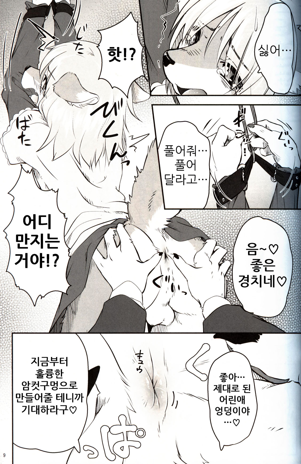 (C97) [Tail Spot (Urekemo LaLa)] Boku ga Mesu ni Naru Hi | 내가 암컷이 되는 날 [Korean] [나나치 저장소] numero di immagine  9