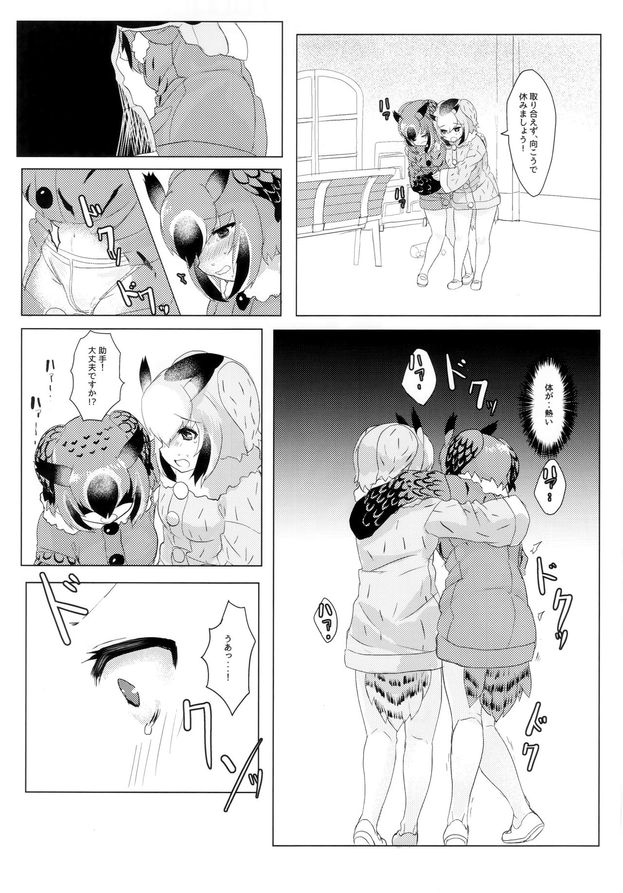 (C97) [Tokkun Dogeza (Tadano Magu)] CURIOSITY (Kemono Friends) imagen número 16