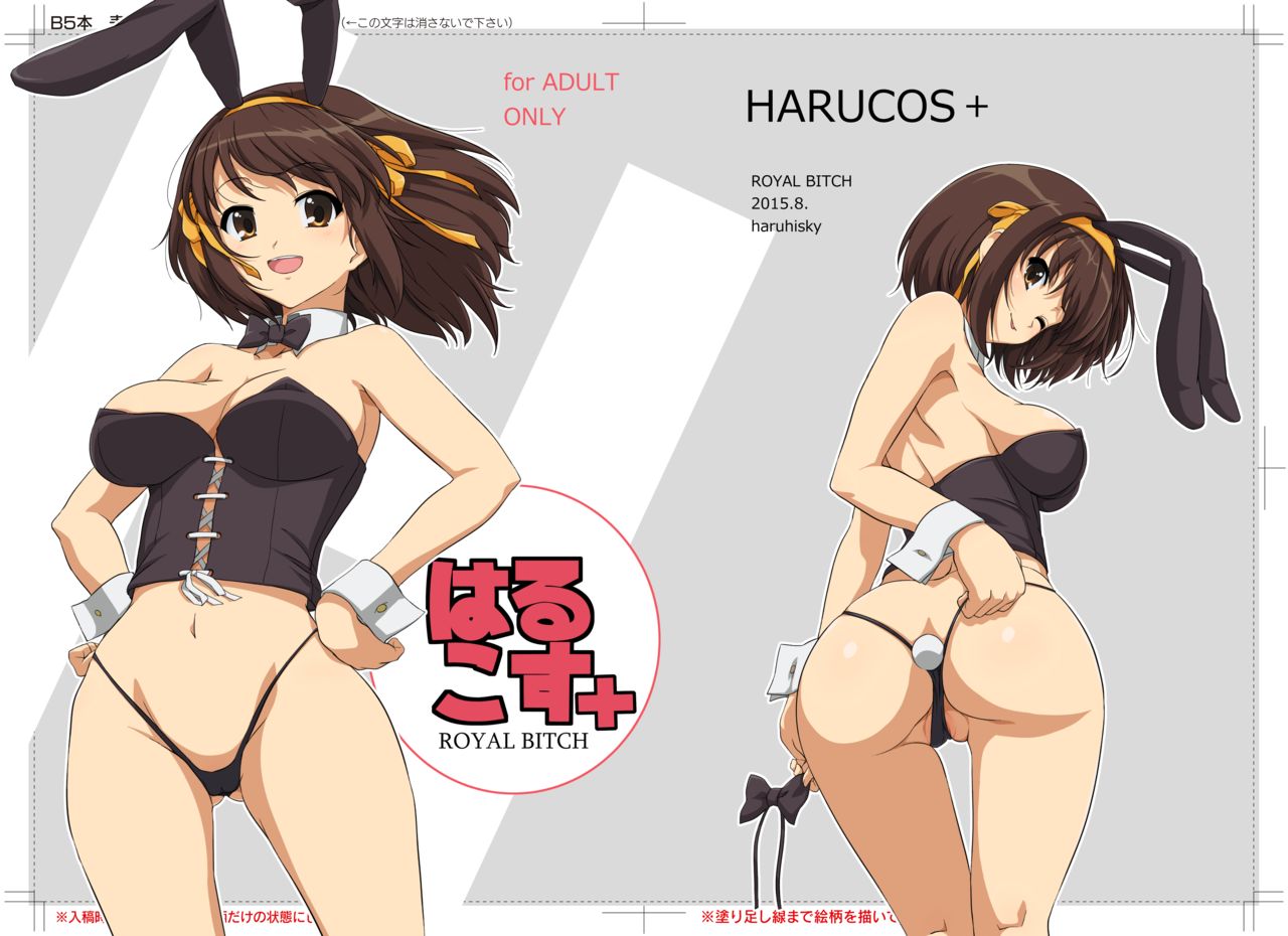 [Royal Bitch (Haruhisky)] Harucos+ (Suzumiya Haruhi no Yuuutsu) [Digital] numero di immagine  2