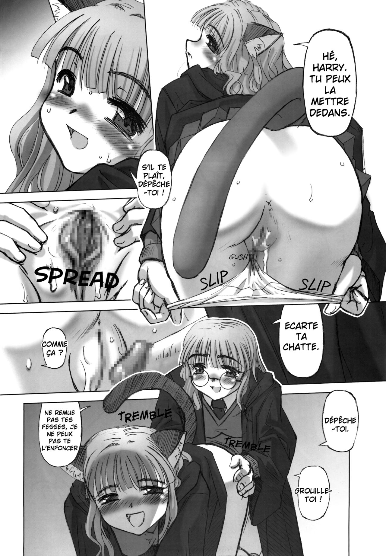 (CR33) [G-Power! (SASAYUKi)] ILH - I Love Hermione (Harry Potter) [FRENCH] 画像番号 11