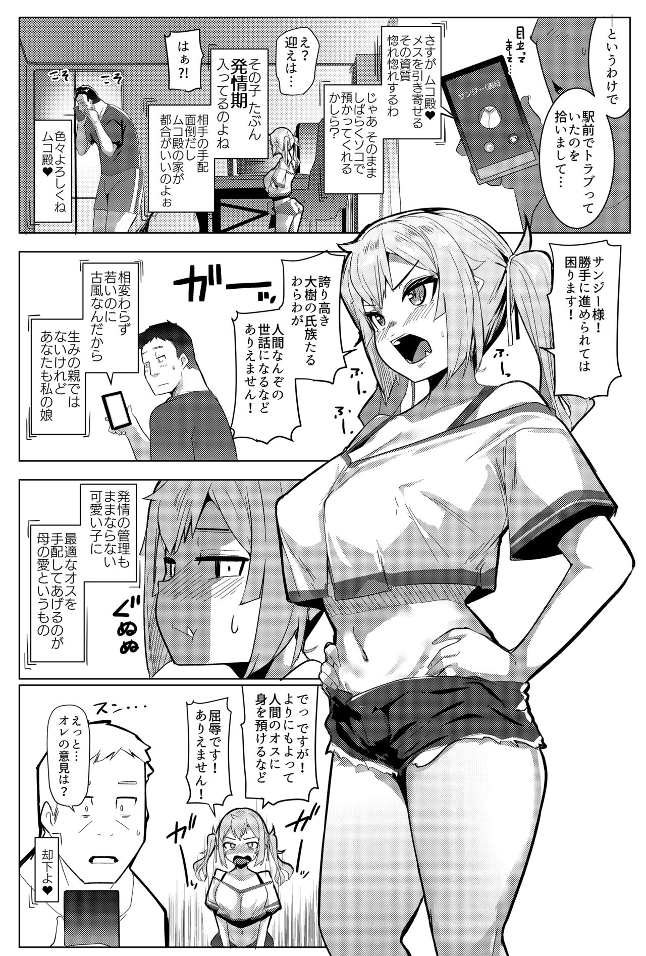 [Hitsuji Kikaku (Muneshiro)] Imouto wa Mesu Orc 7 [Digital] Bildnummer 4