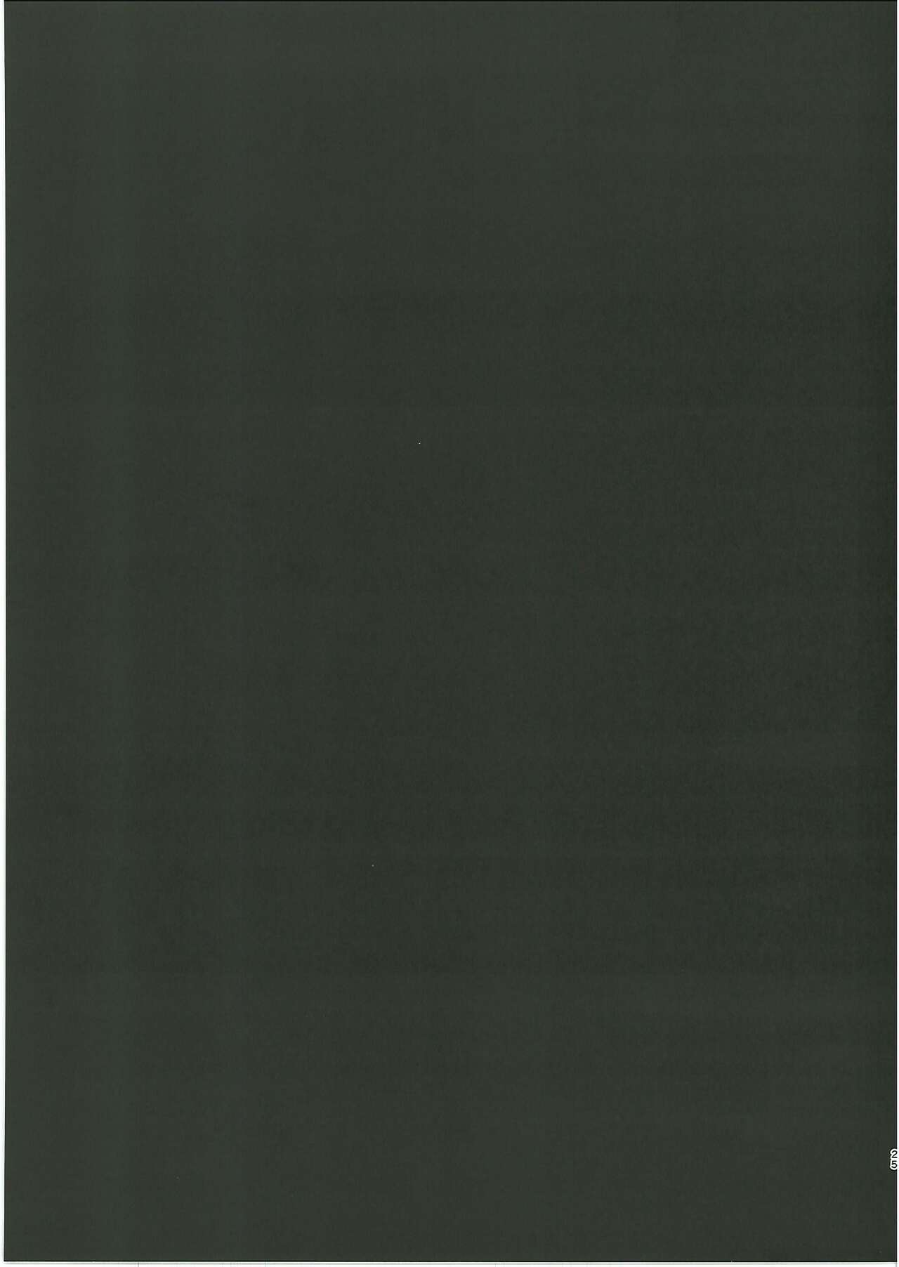 [DeepSilky (夢月あき)] 黒犬いちゃラブコス交尾 (Fate-Grand Order) image number 24