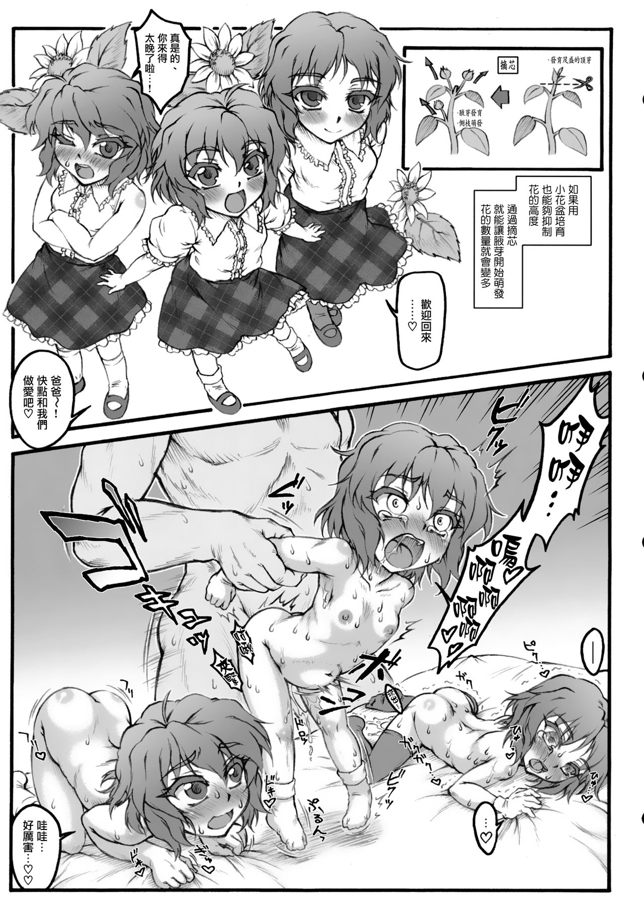 [Yaburebouki Akuta] Himawari no Sodatekata (Touhou Project) numero di immagine  7