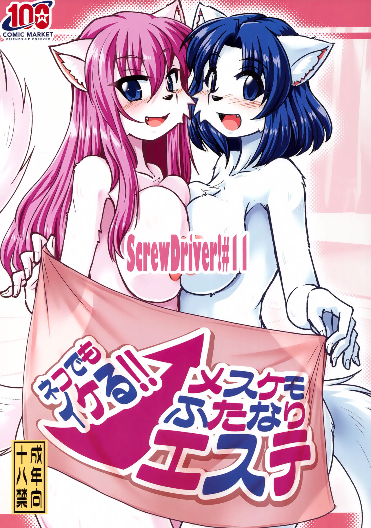 (C100) [MLKx (MilkExplorer)] Screw Driver!#11 [Spanish] [Harenchi no Fansub] 2eme image