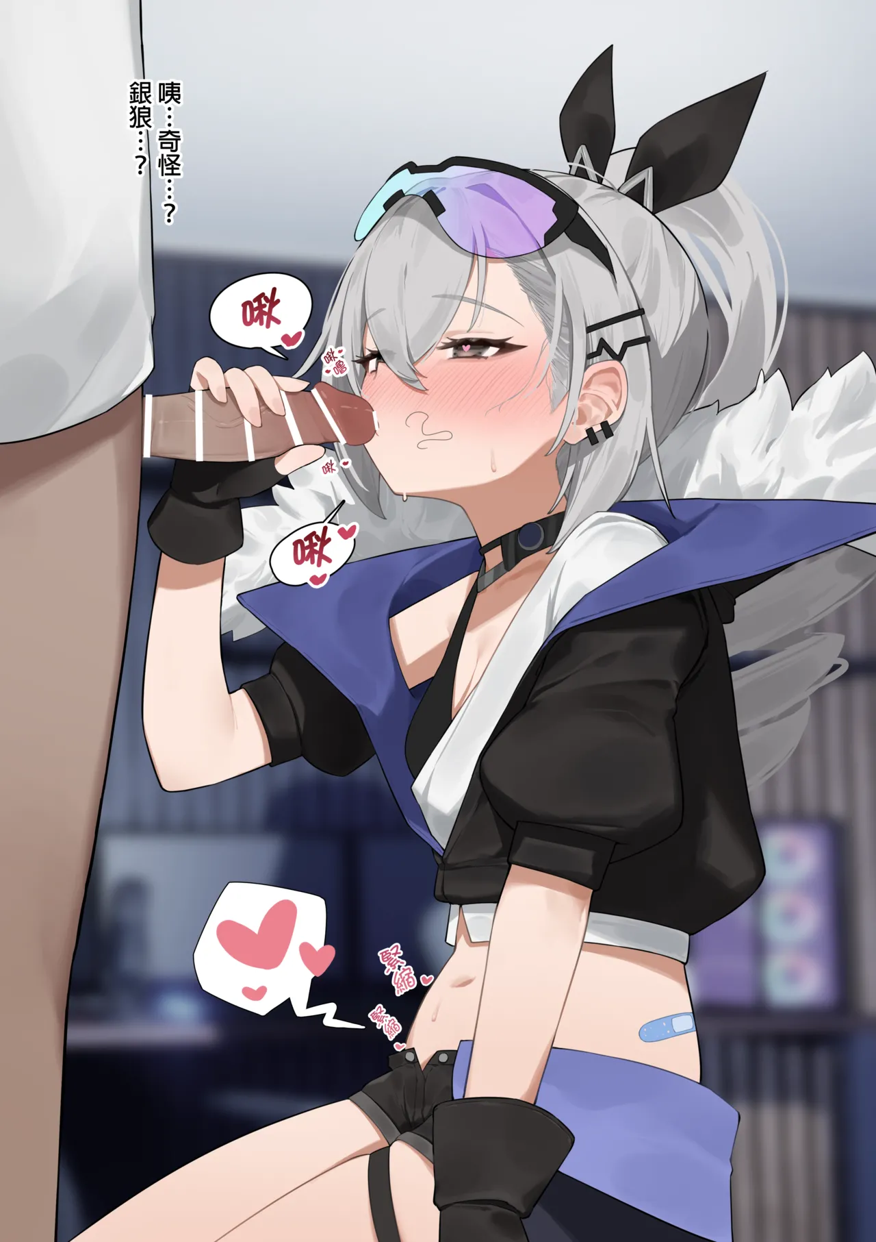 [flasso] 和銀狼的調情 imagen número 11