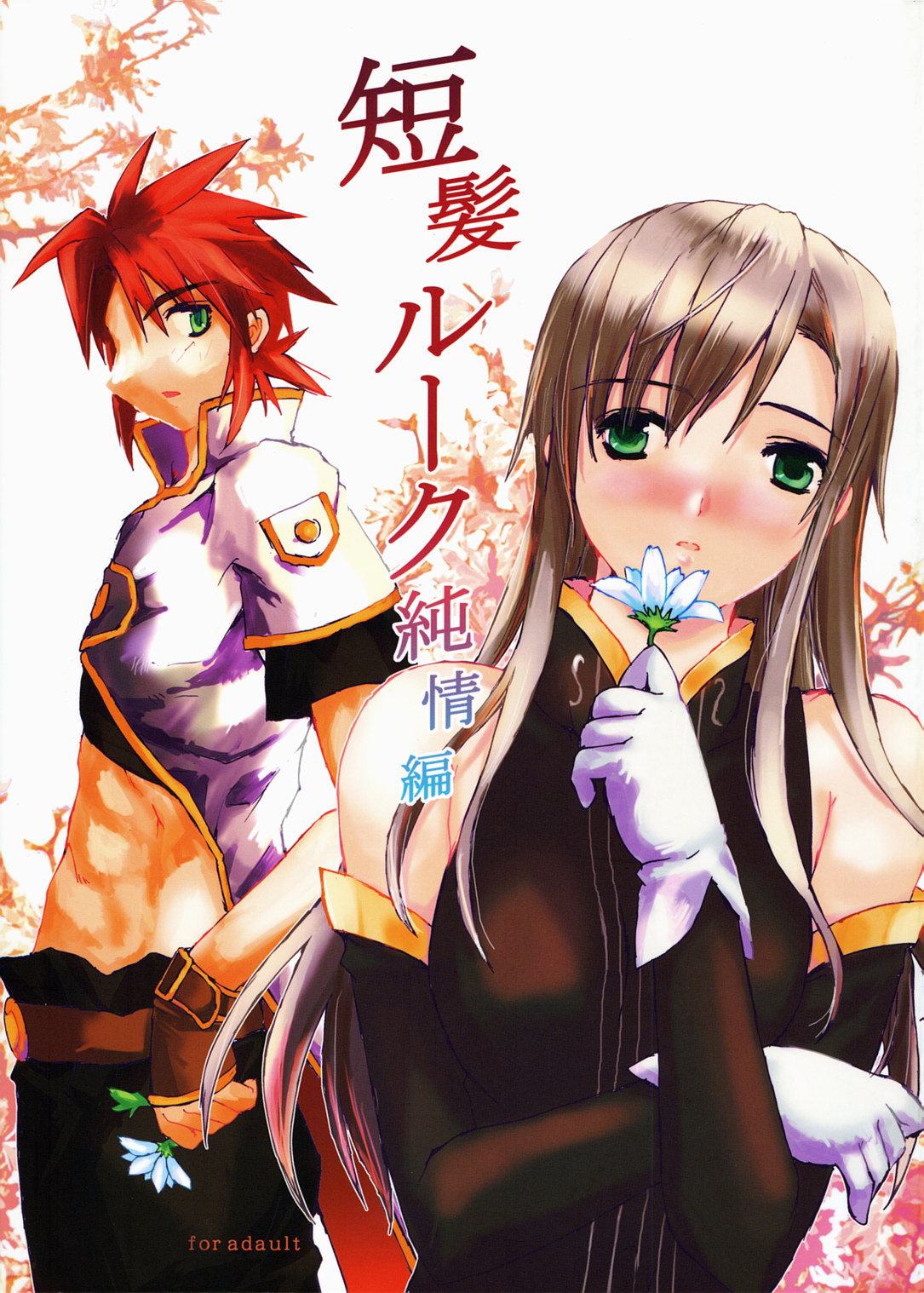 (C72) [Gensou Kuukan (Mizuhara Mei)] Tanpatsu Luke Junjou Hen (Tales of the Abyss) [Spanish] [Biblioteca Hentai] 이미지 번호 1