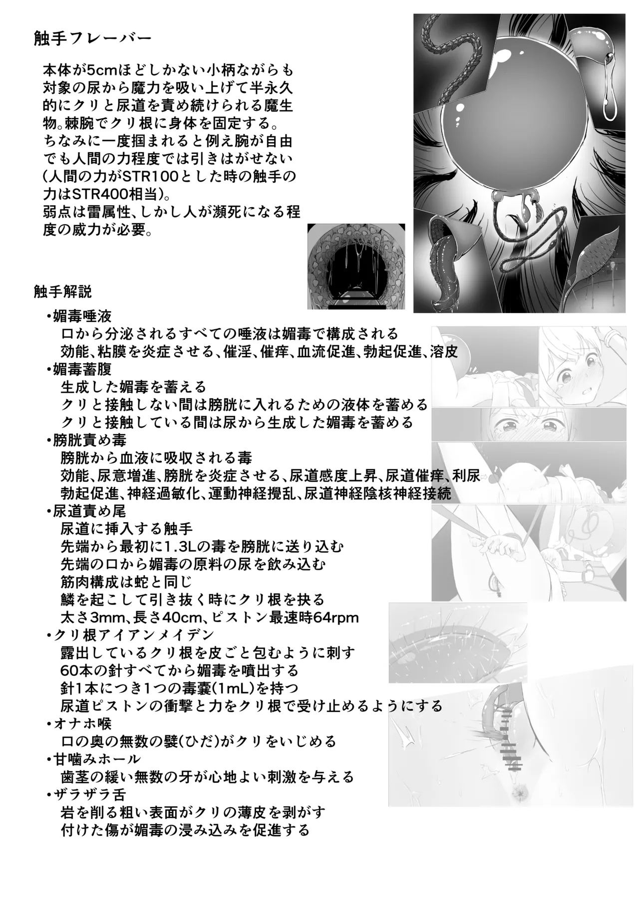 [幻桂] 魔導士メレシーの豆源郷(2) numero di immagine  29