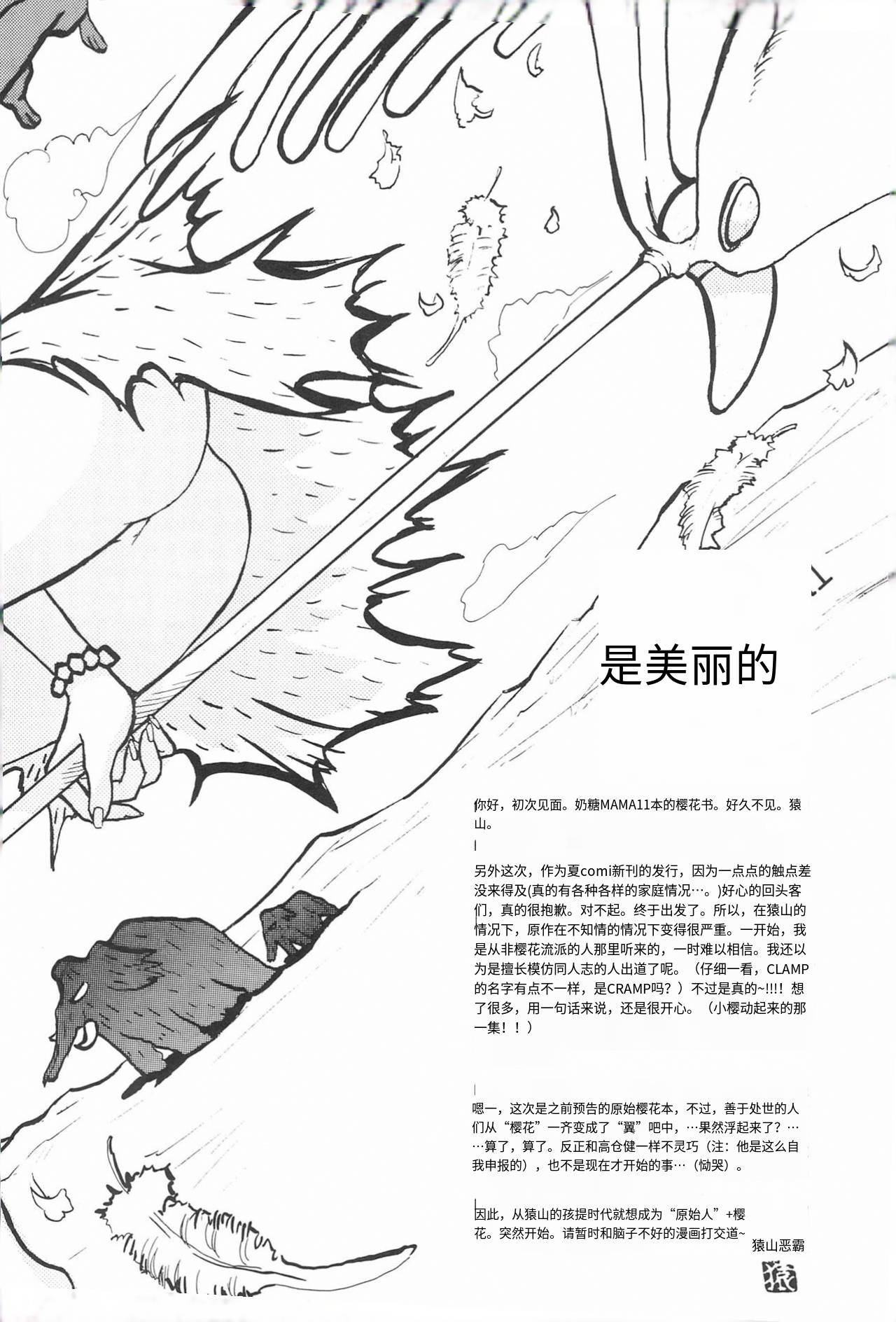 (COMIC CITY Kobe 69) [Caramel MAMA (Saruyama Boss)] Taiyou no Shippo (Cardcaptor Sakura)[个人机翻] 이미지 번호 3