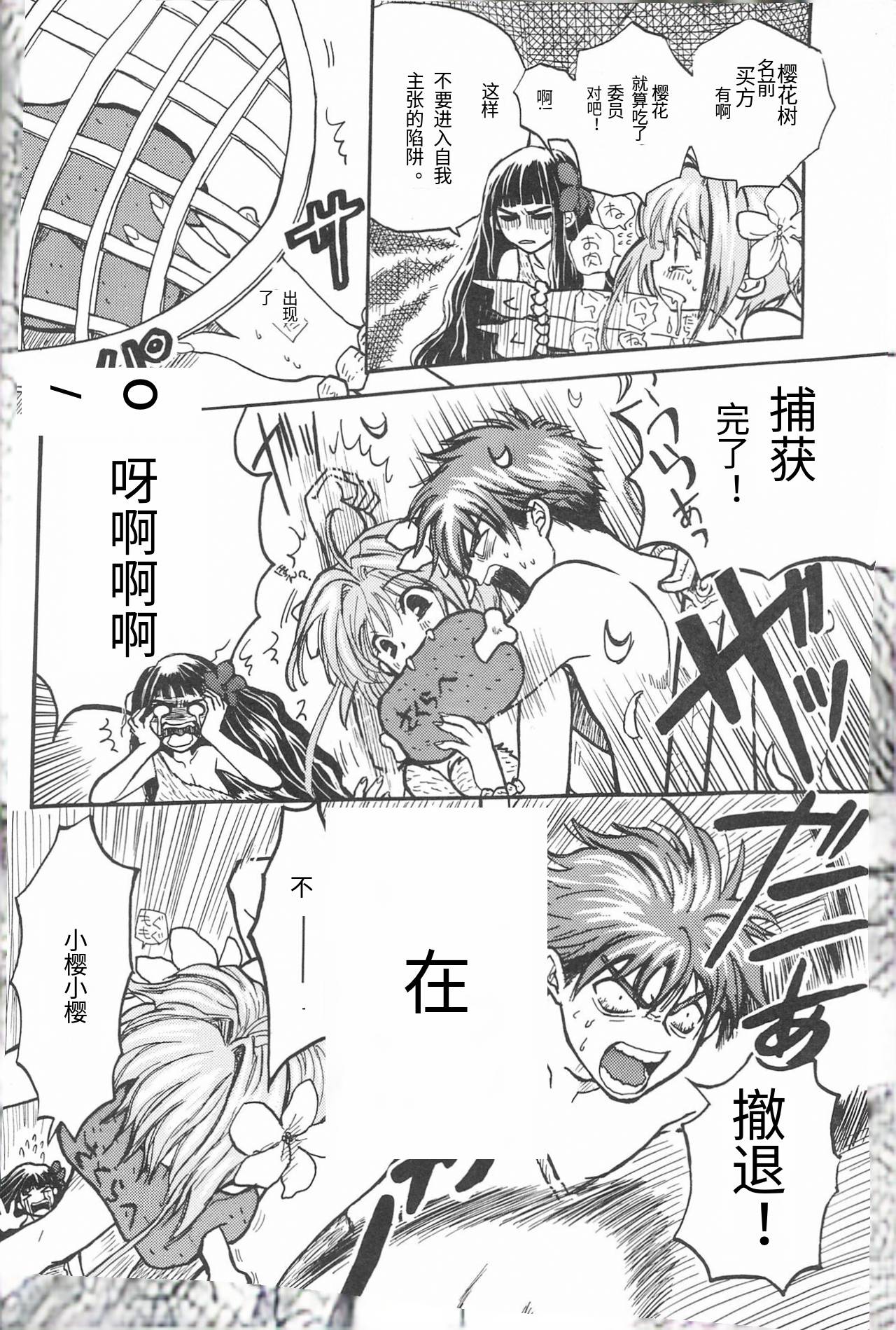 (COMIC CITY Kobe 69) [Caramel MAMA (Saruyama Boss)] Taiyou no Shippo (Cardcaptor Sakura)[个人机翻] 이미지 번호 21