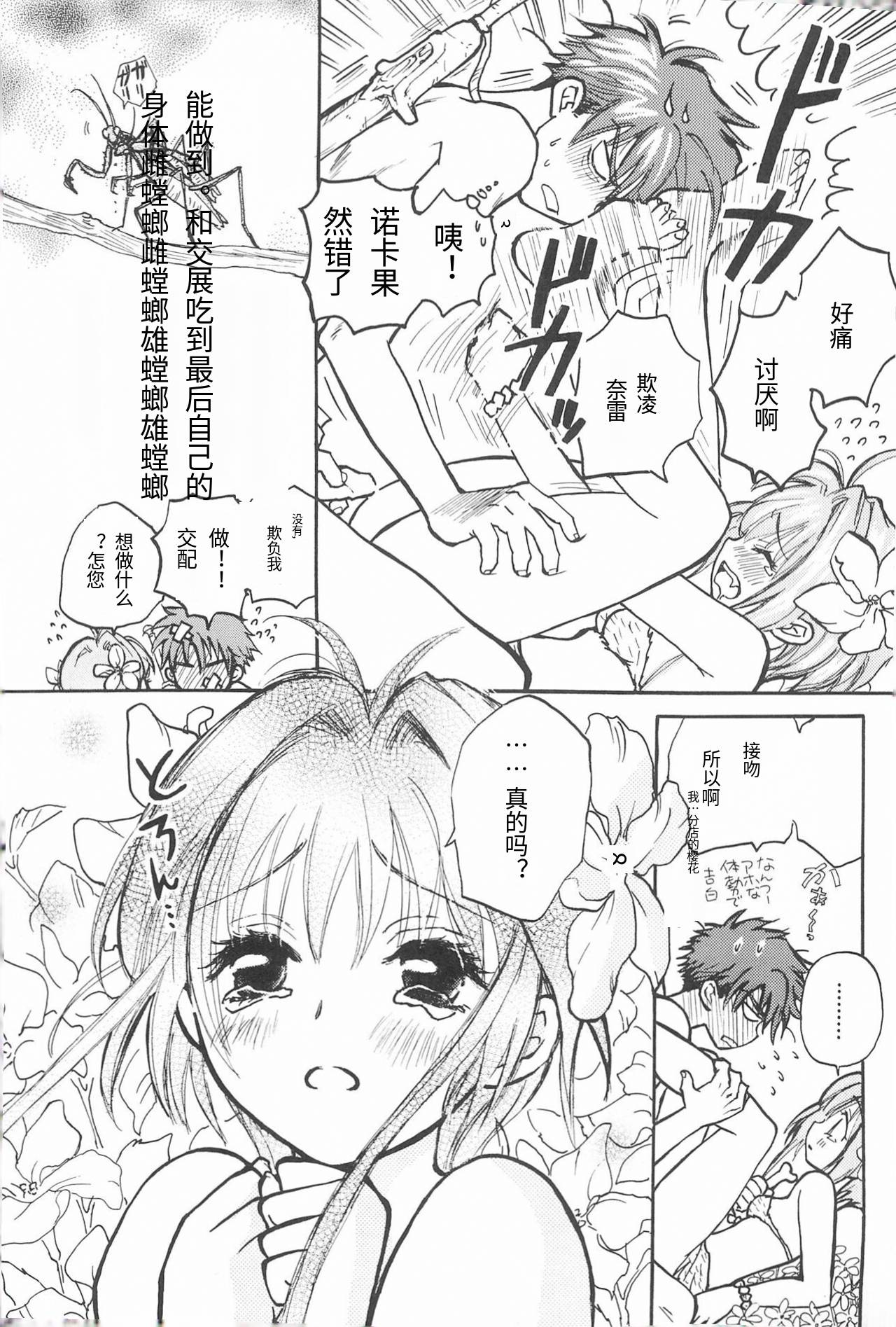 (COMIC CITY Kobe 69) [Caramel MAMA (Saruyama Boss)] Taiyou no Shippo (Cardcaptor Sakura)[个人机翻] 이미지 번호 24