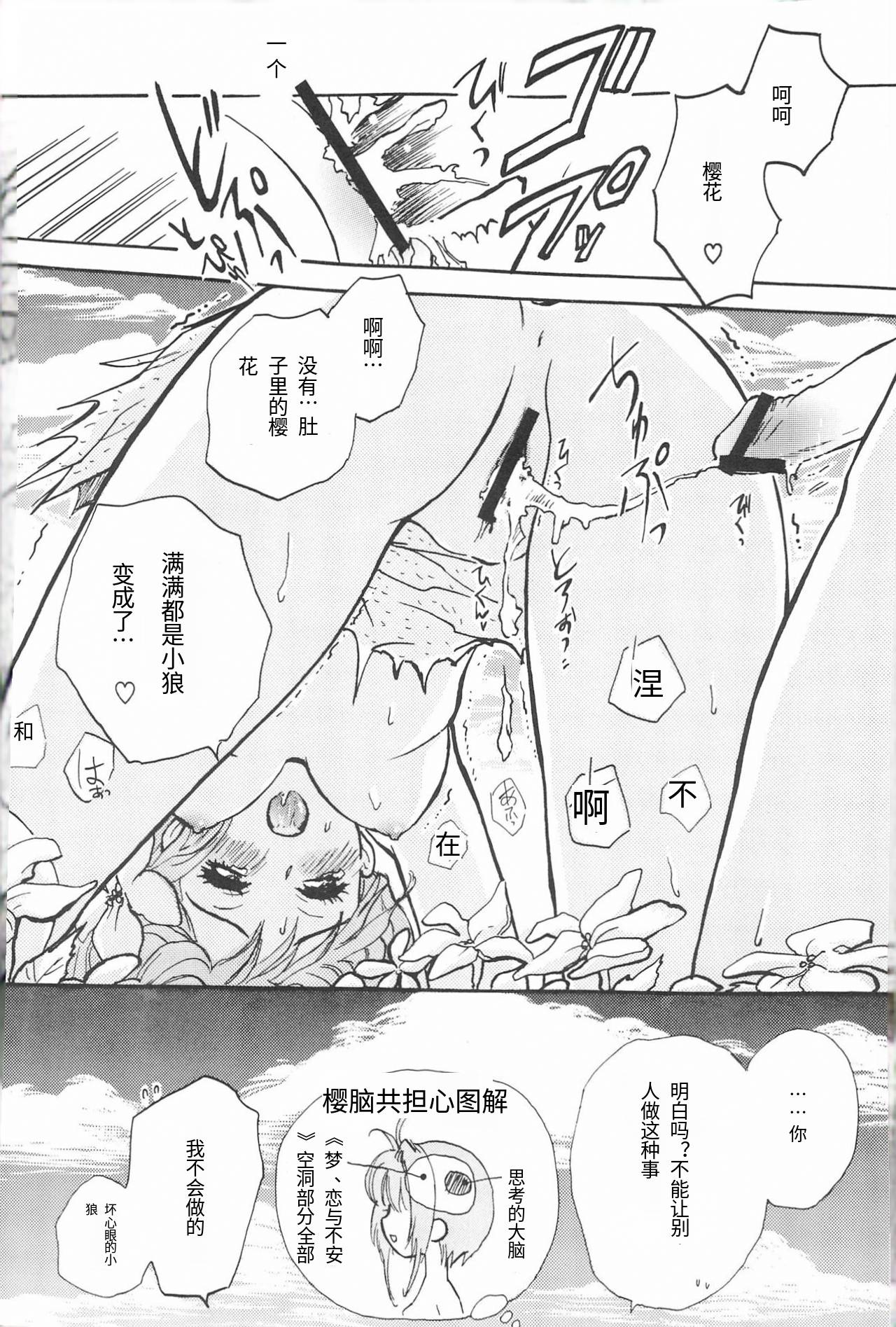 (COMIC CITY Kobe 69) [Caramel MAMA (Saruyama Boss)] Taiyou no Shippo (Cardcaptor Sakura)[个人机翻] 이미지 번호 27