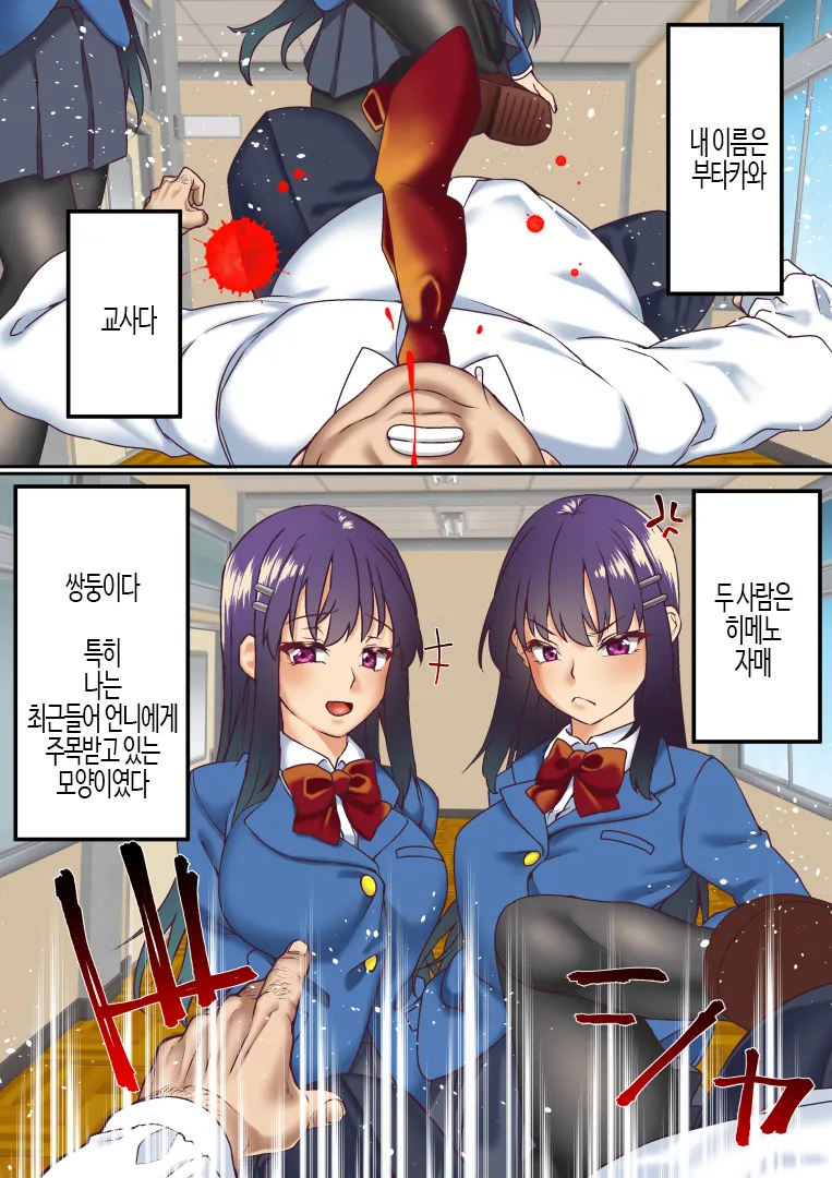 [Shironekoya] Namaiki Futago Reijou Saimin Appli de Chinpo Ochi | 건방진 쌍둥이 아가씨를 최면 앱으로 망가뜨리기 [Korean] 画像番号 10