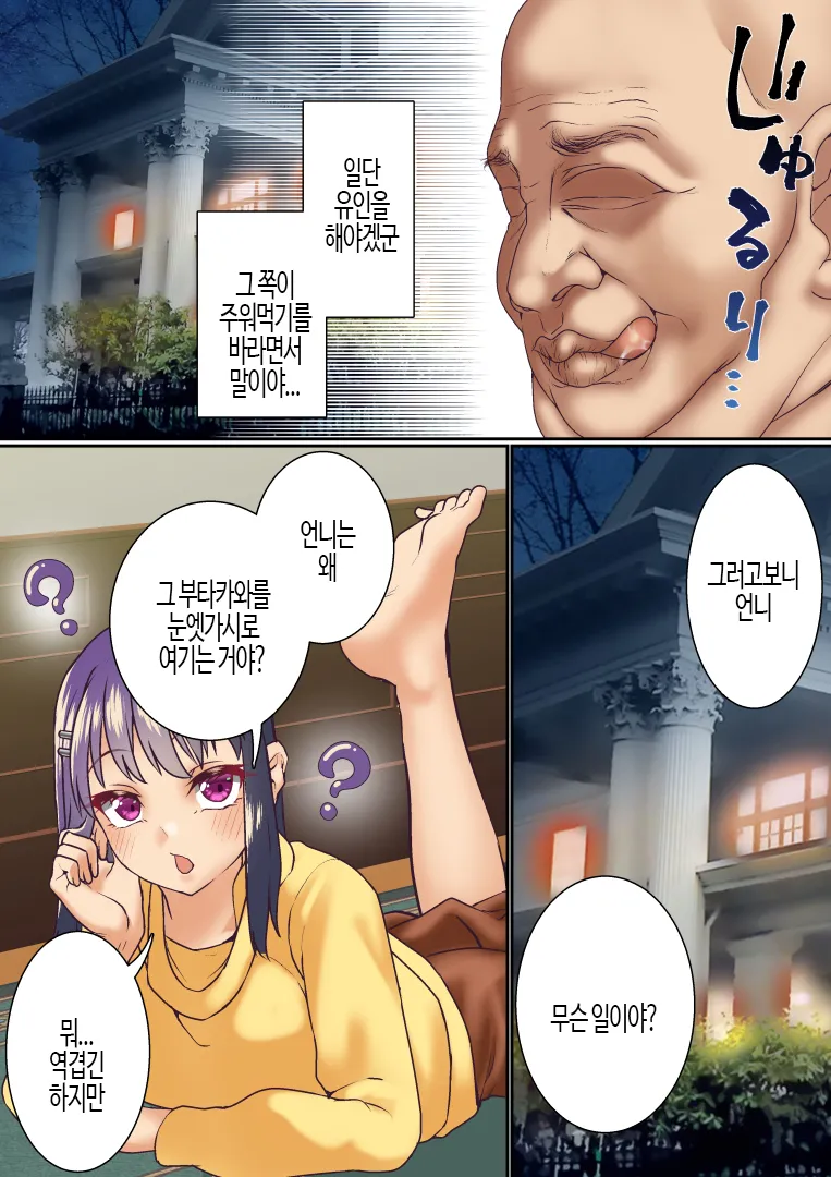 [Shironekoya] Namaiki Futago Reijou Saimin Appli de Chinpo Ochi | 건방진 쌍둥이 아가씨를 최면 앱으로 망가뜨리기 [Korean] 画像番号 14