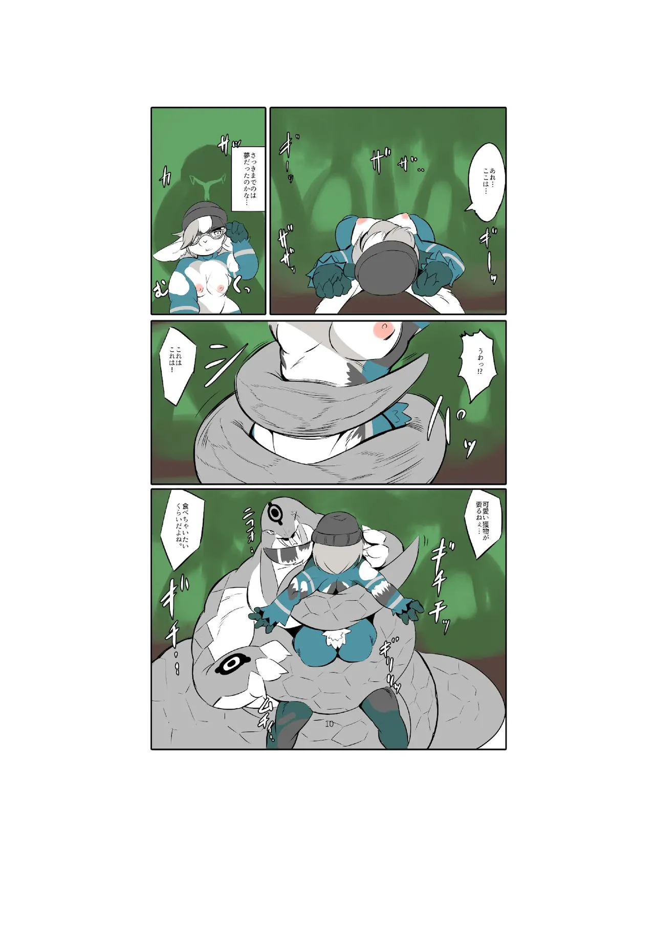 project DNA-X code/breed-F image number 12