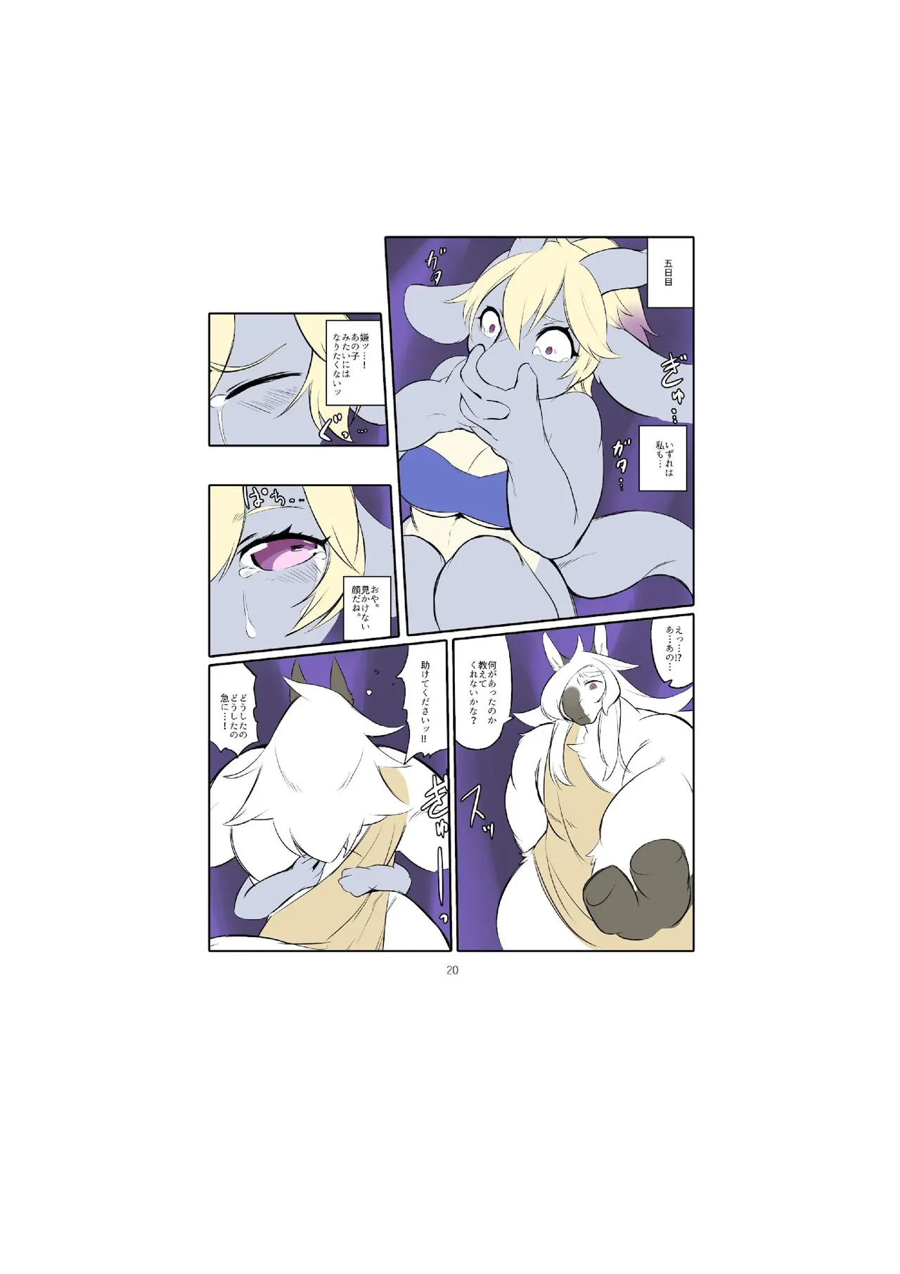 project DNA-X code/breed-F image number 22