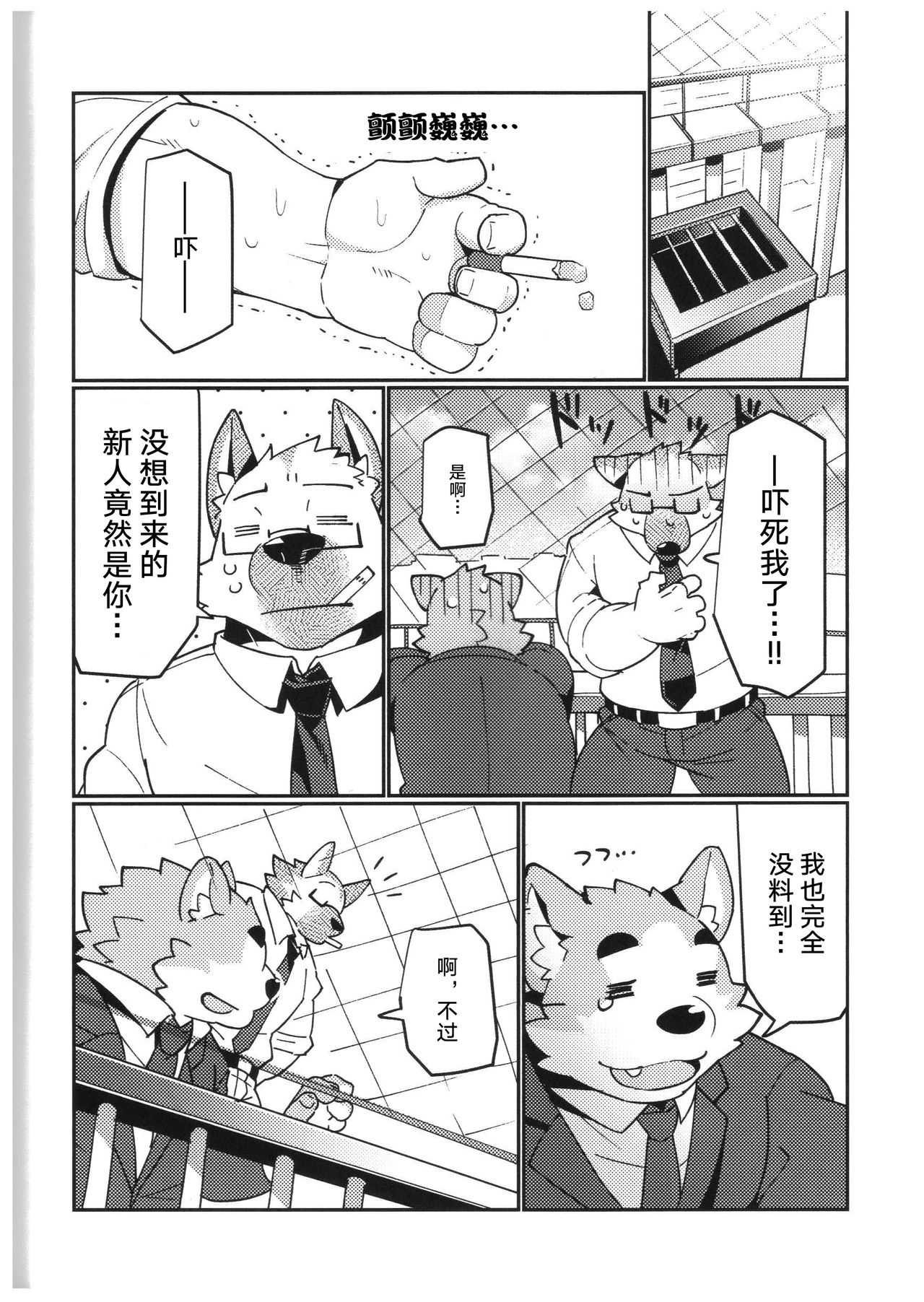 (Kemoket 8) [Dabo (Syukouakanaru)] Shiroi-kun no Shakai Kengaku 2 [Chinese] [狗爹汉化组] 画像番号 5