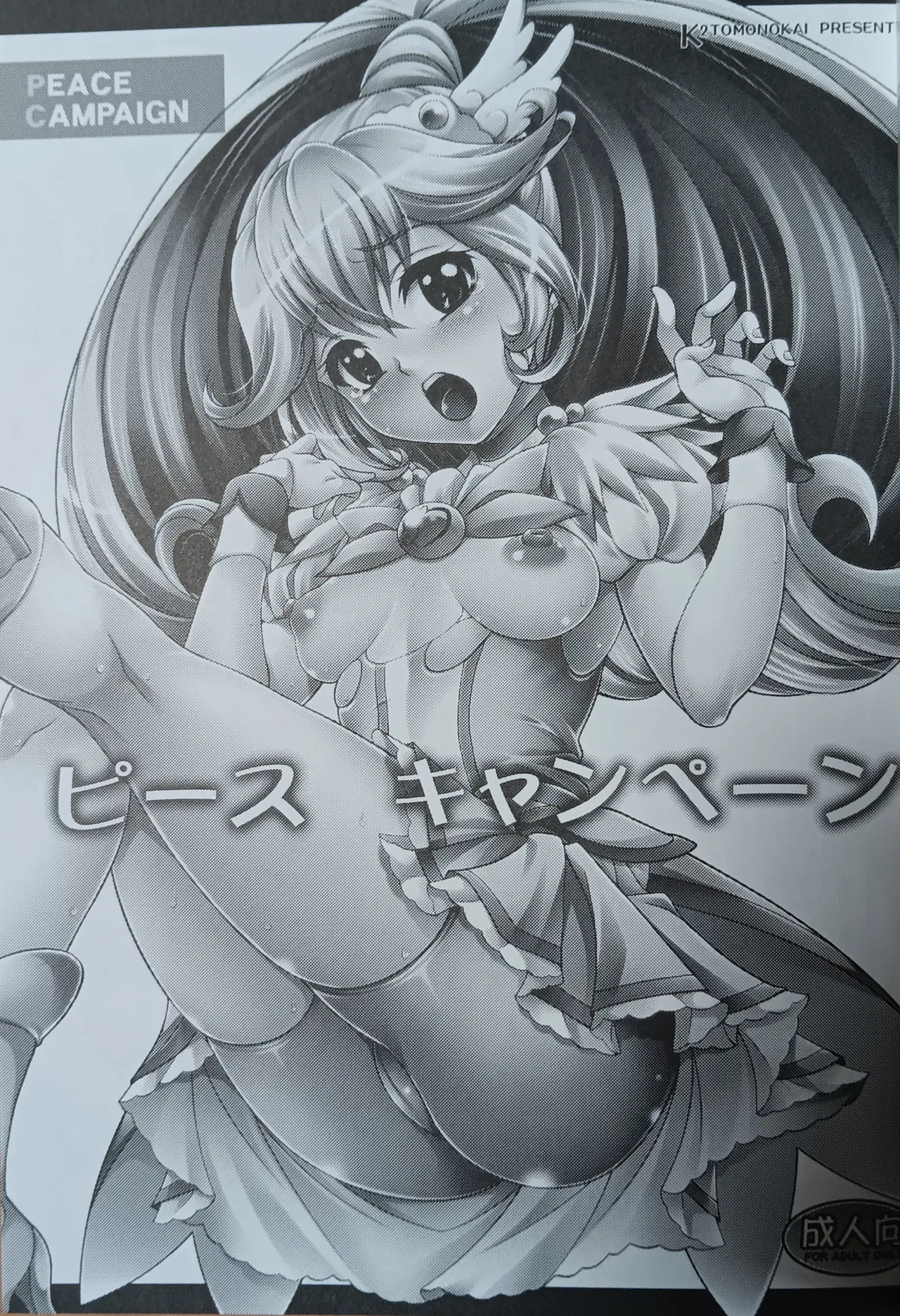 (C82) [K2 Tomo no Kai (Mizuki)] Peace Campaign (Smile PreCure!) [Photo] 画像番号 2