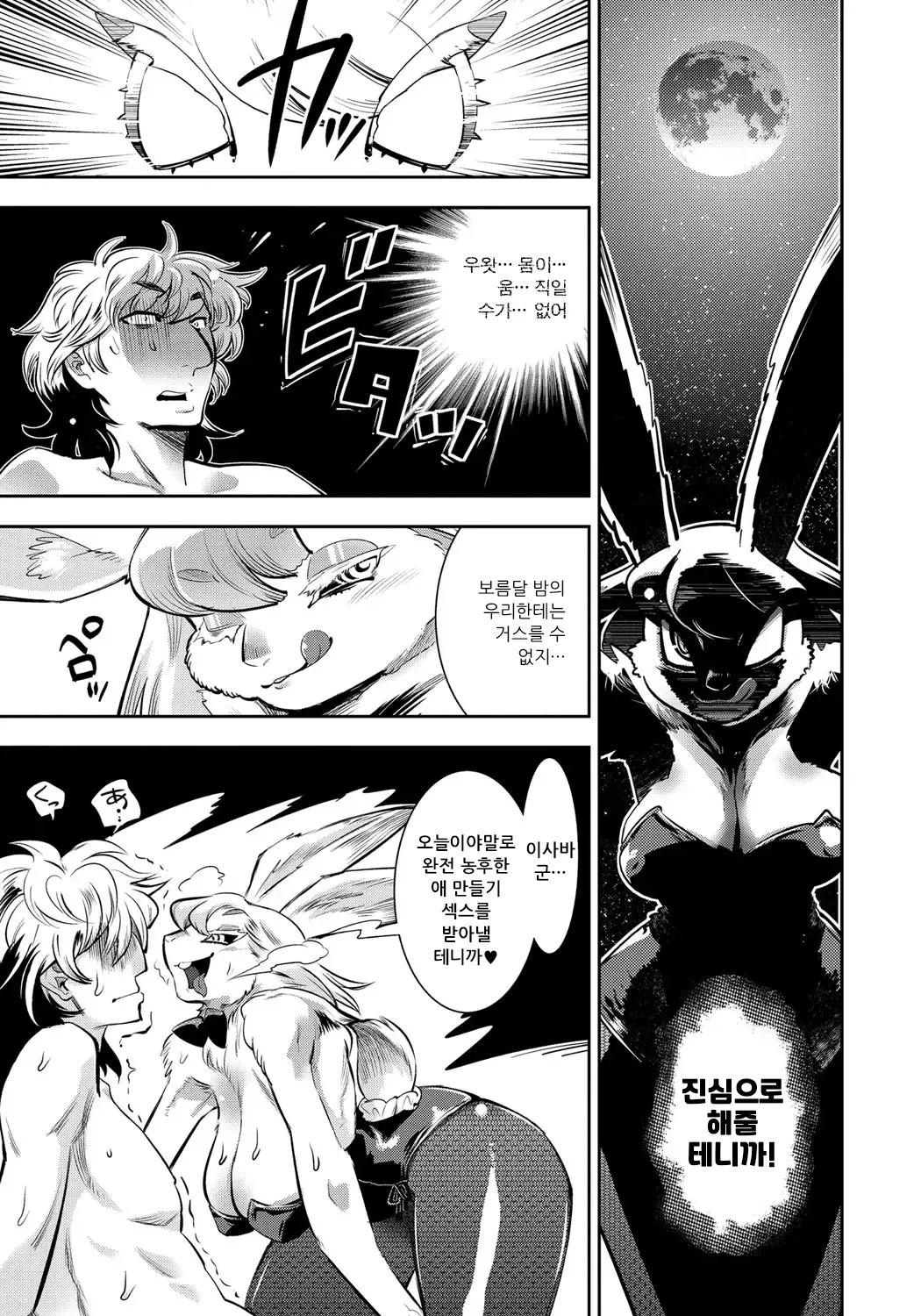 [Kemonono★] DOGGY MAGGY - Dog and cat, sheep, fox, wolf, rabbit... Everyone looks sexual! Ch.1-6 [Korean] [Decensored] [Digital] 149eme image