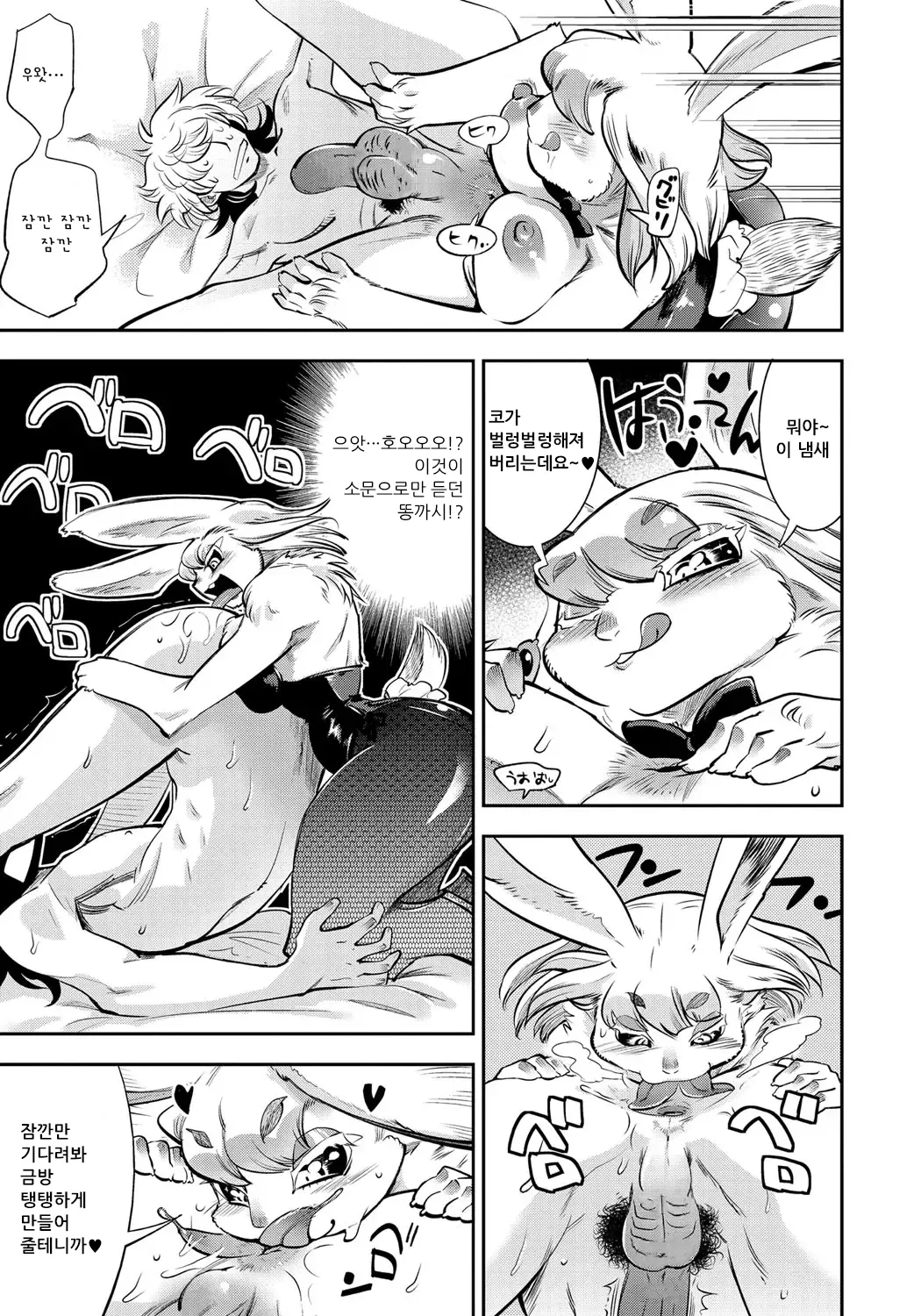 [Kemonono★] DOGGY MAGGY - Dog and cat, sheep, fox, wolf, rabbit... Everyone looks sexual! Ch.1-6 [Korean] [Decensored] [Digital] 151eme image