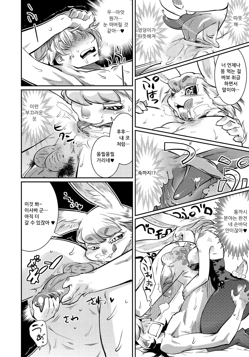 [Kemonono★] DOGGY MAGGY - Dog and cat, sheep, fox, wolf, rabbit... Everyone looks sexual! Ch.1-6 [Korean] [Decensored] [Digital] 152eme image