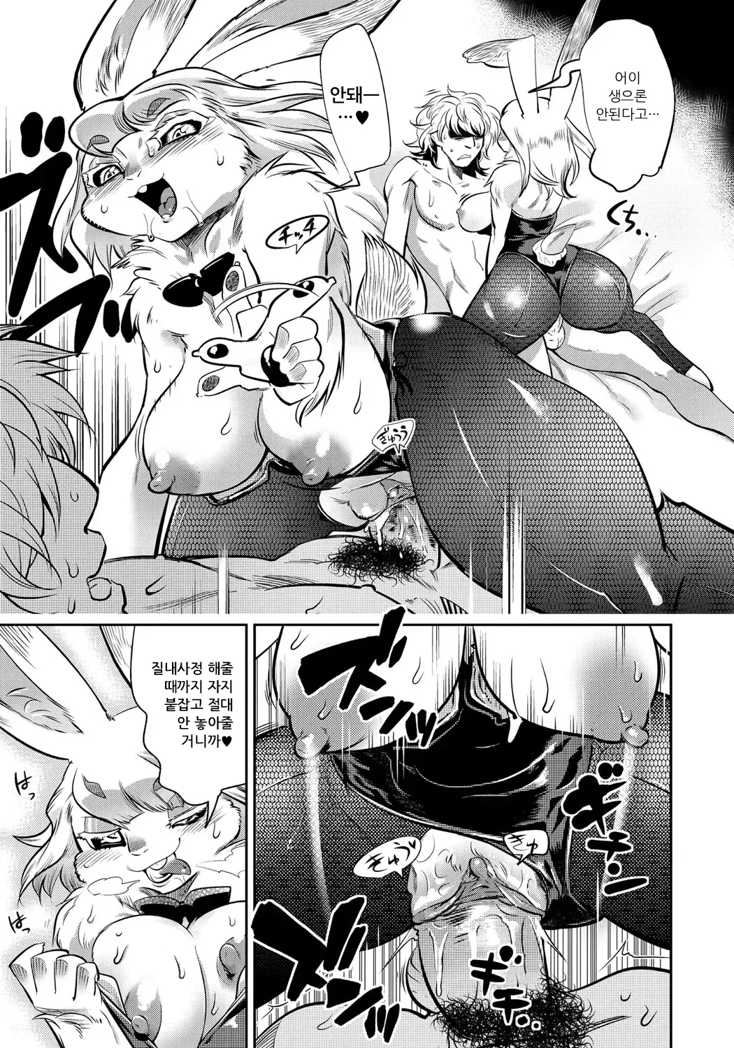 [Kemonono★] DOGGY MAGGY - Dog and cat, sheep, fox, wolf, rabbit... Everyone looks sexual! Ch.1-6 [Korean] [Decensored] [Digital] 155eme image