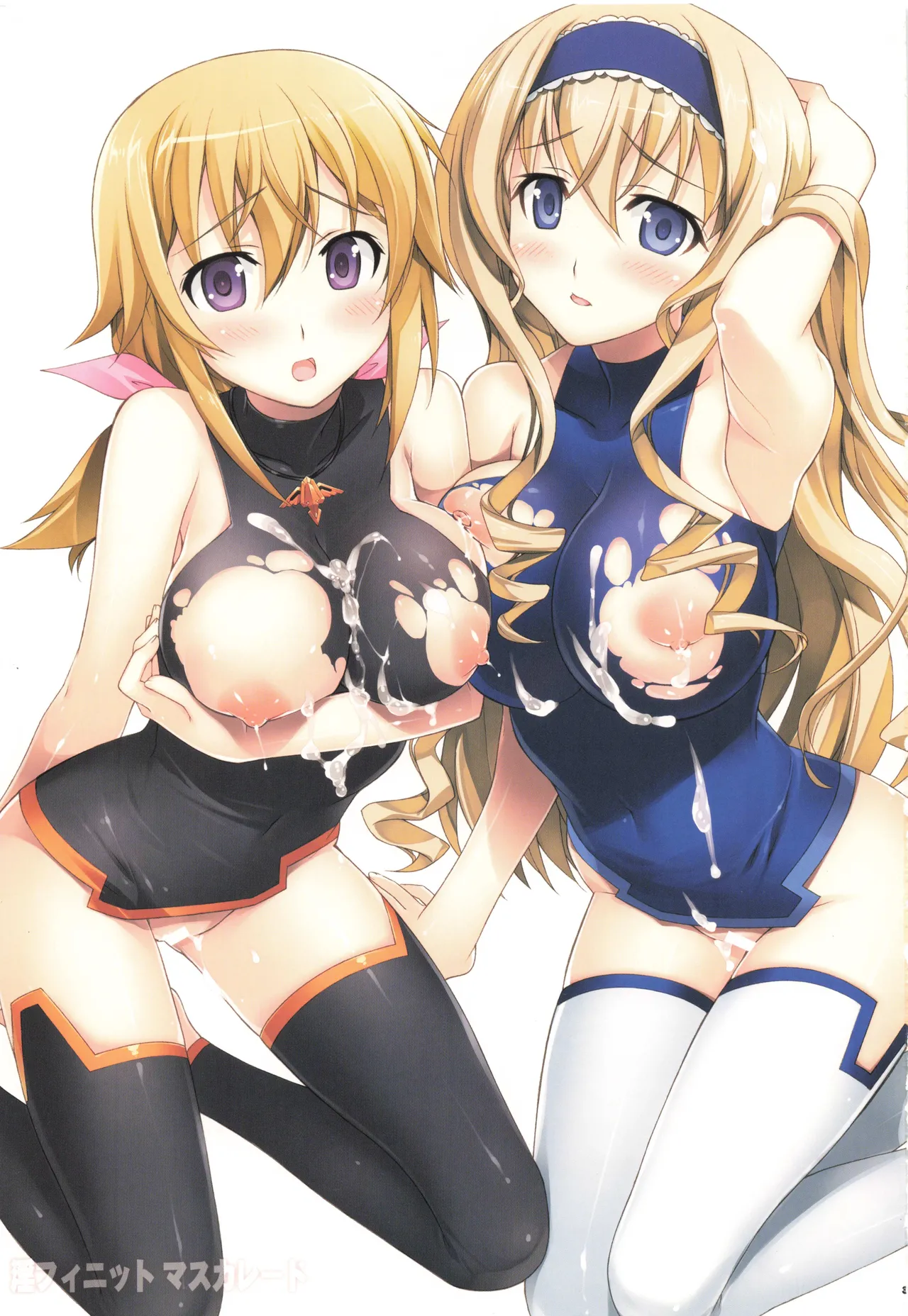 [Yan-Yam] Infinite Masuquerade (IS <Infinite Stratos>) [Digital] 이미지 번호 2