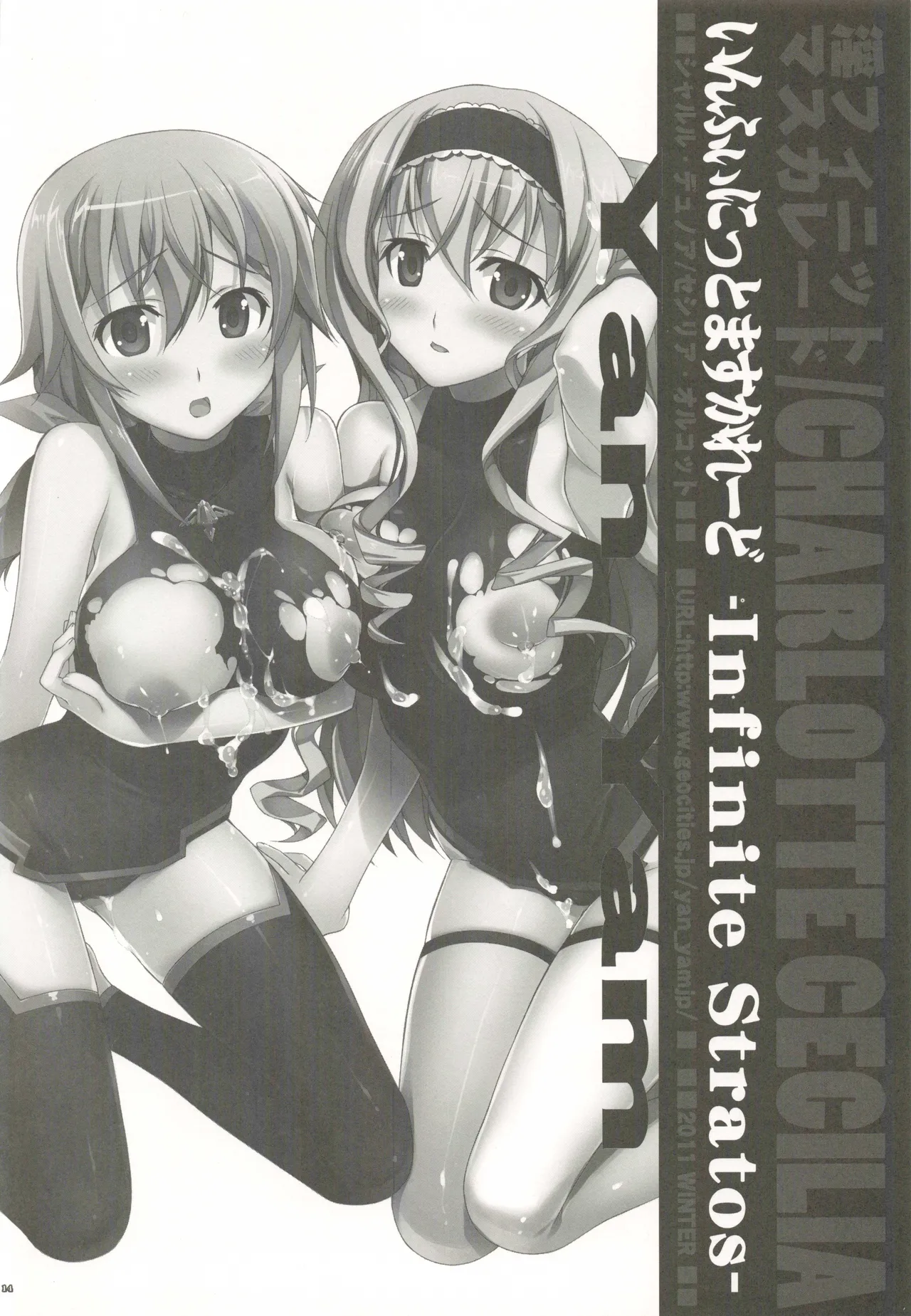 [Yan-Yam] Infinite Masuquerade (IS <Infinite Stratos>) [Digital] 이미지 번호 13