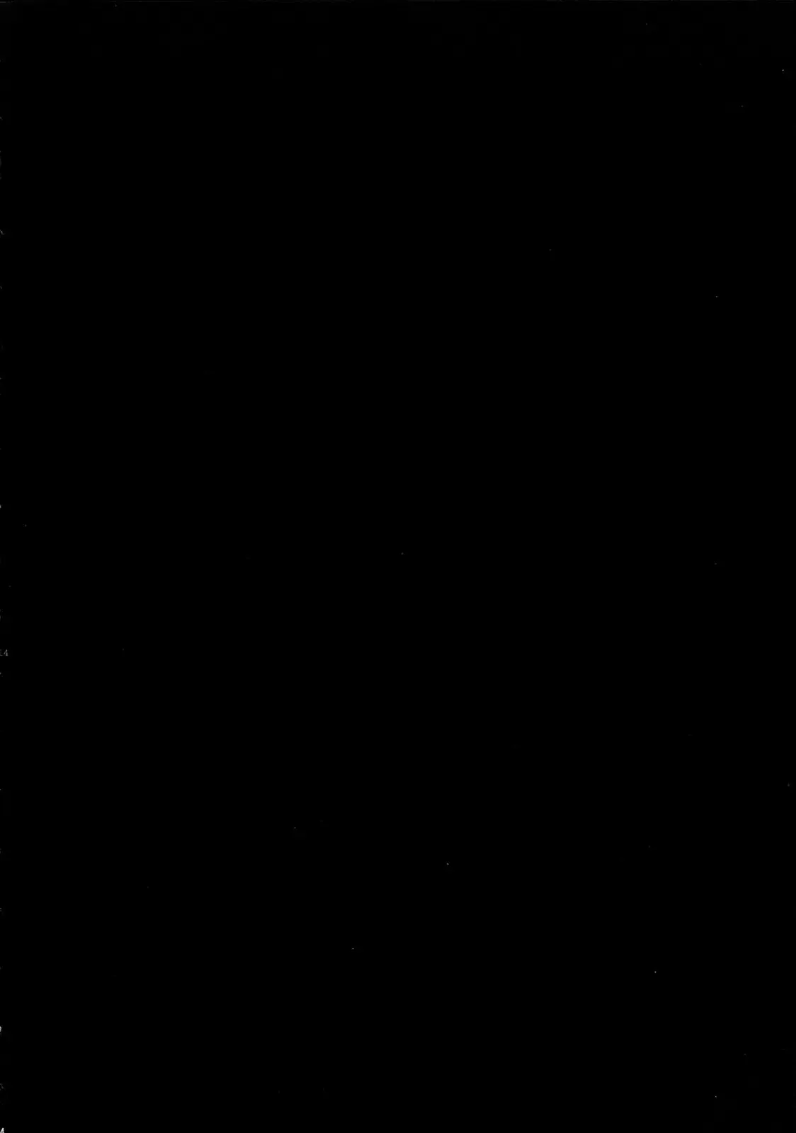 (SPARK10) [Neruneru (Neneru)] Hana to Usotsuki | 꽃과 거짓말쟁이 (Arslan Senki) [Korean] image number 13