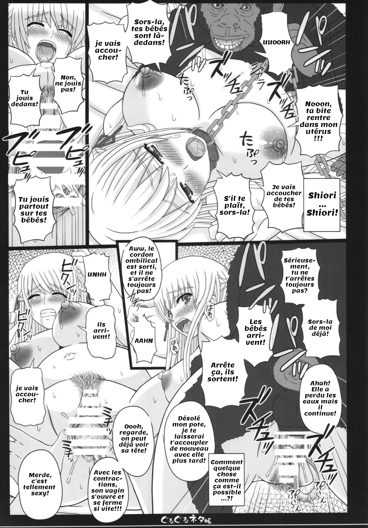 (C83R) Shiawase no Katachi no Guruguru Netachou 83R 27eme image