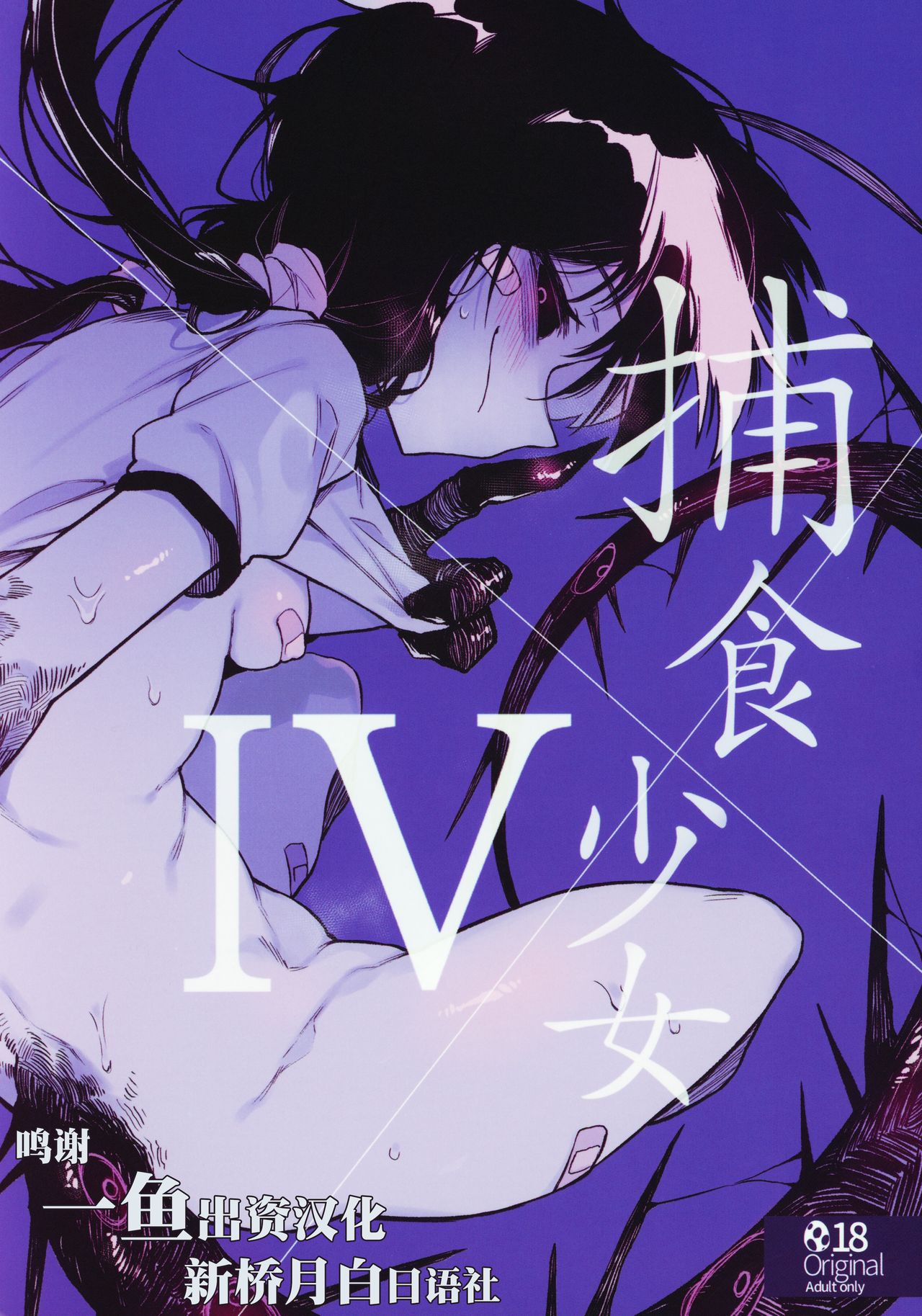 (C97) [Hoshoku Shoujo (Karasu Chan)] Hoshoku Shoujo IV [Chinese] [新桥月白日语社] Bildnummer 1