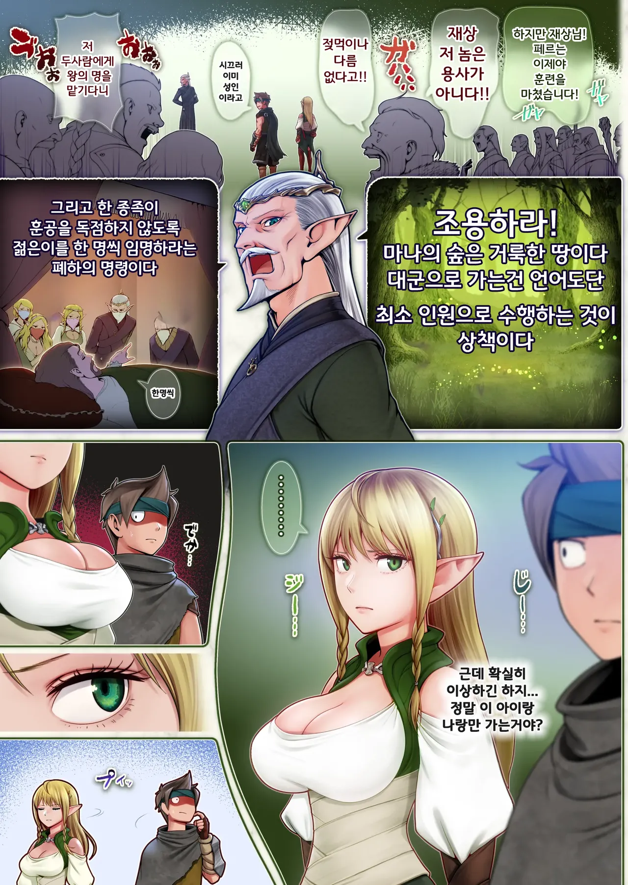 [Horiishi Horuto] Fel to Mana no Mori -Taieki de Tairyoku Kaifuku sasetekureru Bakunyuu Healer Elf- | 페르와 마나의 숲 ~체액으로 체력회복 시켜주는 폭유힐러 엘프~ [Korean] Bildnummer 6