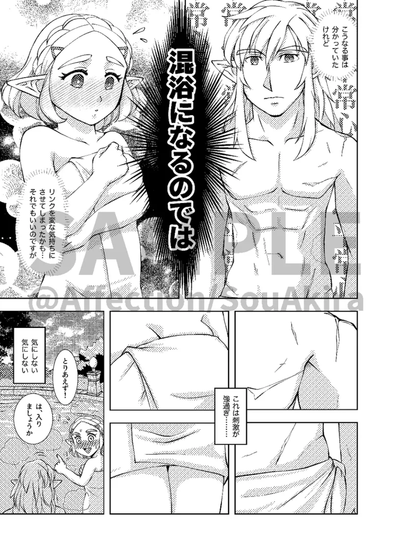 [  Affection ] EXPECTING[The Legend of Zelda) numero di immagine  4