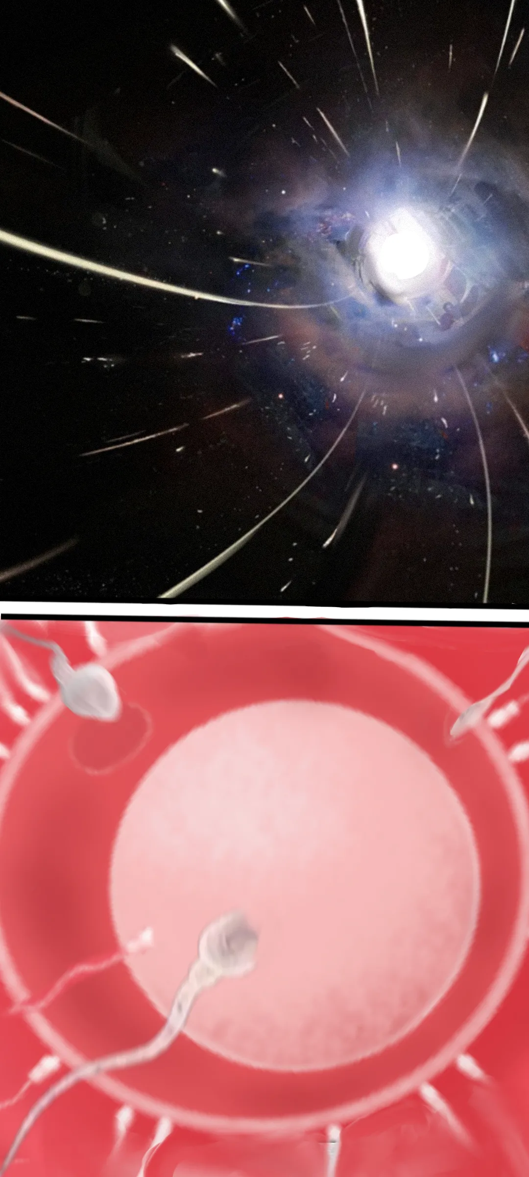 作业帮·《Not yet dawn》（明日方舟英语同人H·LC整合汉化组代发） image number 29