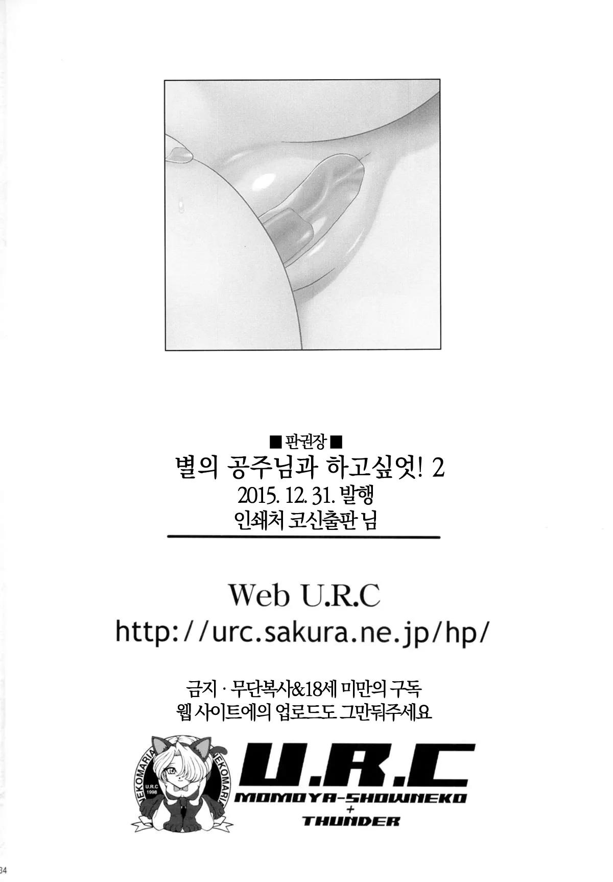 [U.R.C (Momoya Show-Neko)] Hoshi no Ohime-sama to Yaritai! 2 (Go! Princess PreCure) [Digital] [Decensord] [Korean] image number 32