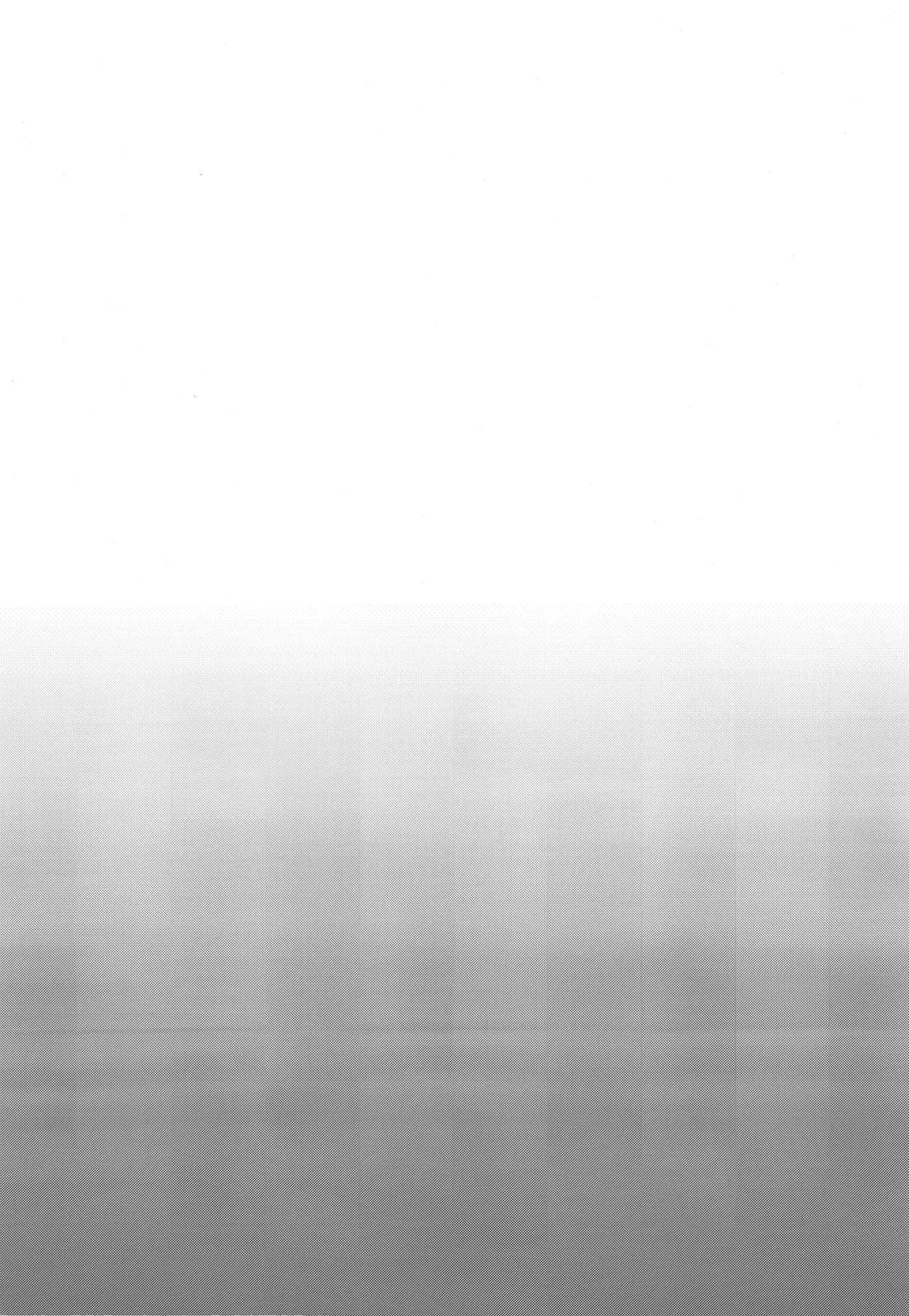 [Kingyo Origin (Kayama Rim)] Genkyou (Touhou Project) [Chinese] [Digital] Bildnummer 18