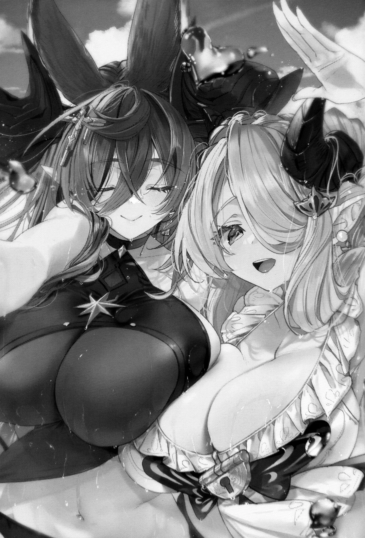 (C105) [Kalavinka (218)] Osewa Lv250 HELL!! (Granblue Fantasy) [Chinese] image number 2