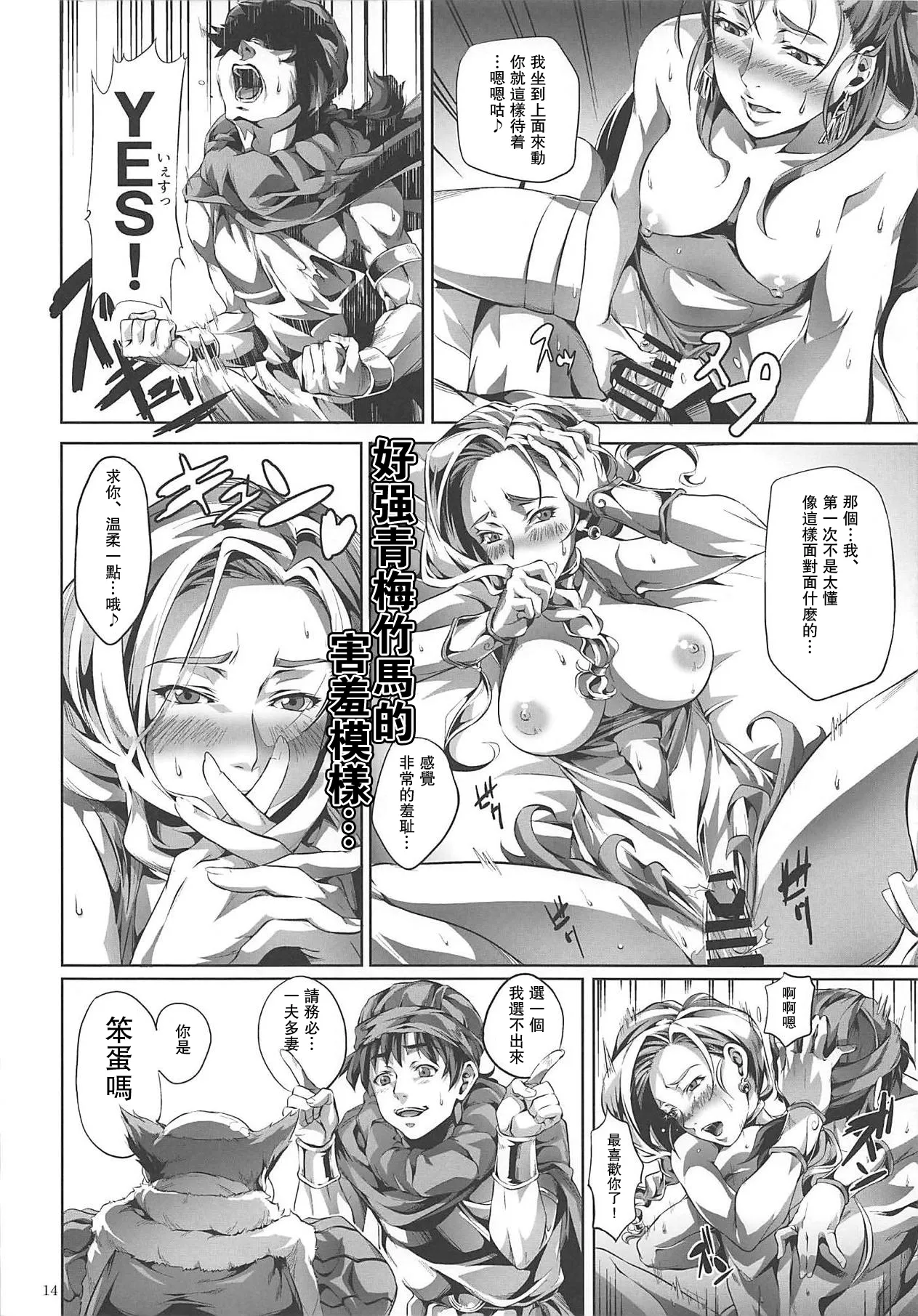 (CT29) [juvecross (Karamai)] DQ Completion (Dragon Quest)【蛇年新春巨獻·母系戰士出品@瓜皮漢化·萌夢星君發佈】 13eme image