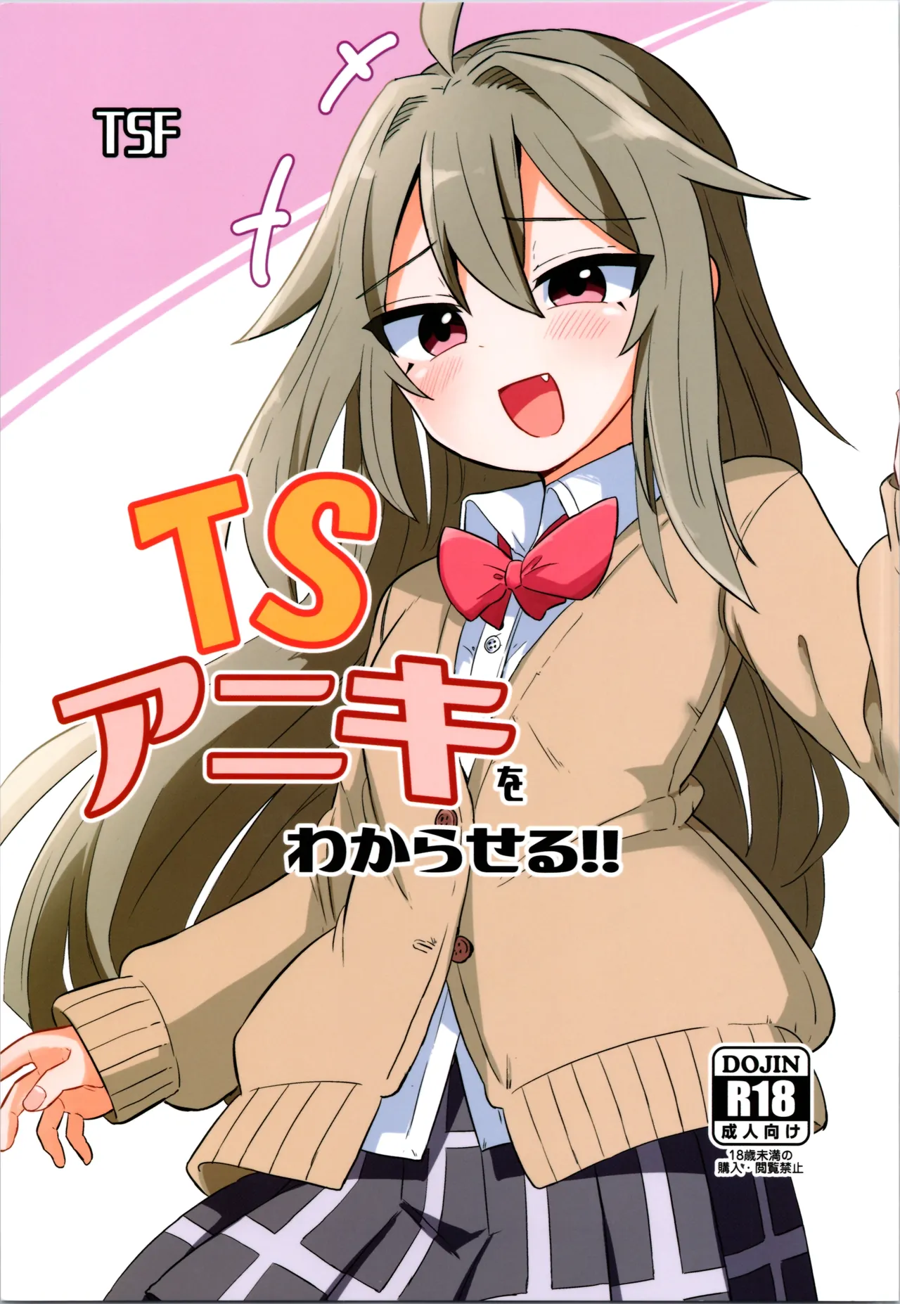 (C105) [Saneyarou] Making TS Aniki understand 이미지 번호 1