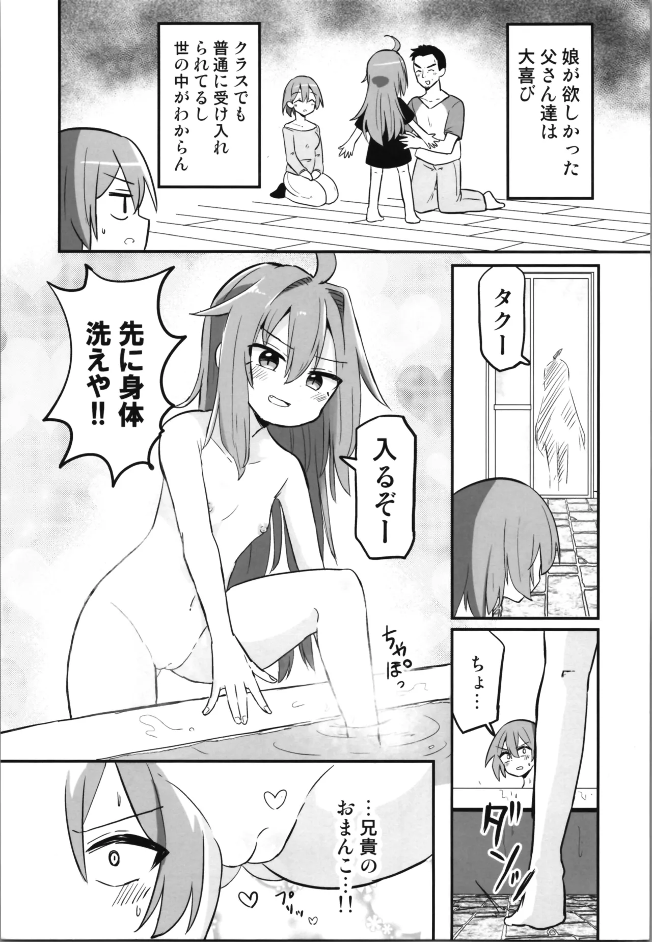 (C105) [Saneyarou] Making TS Aniki understand 이미지 번호 5