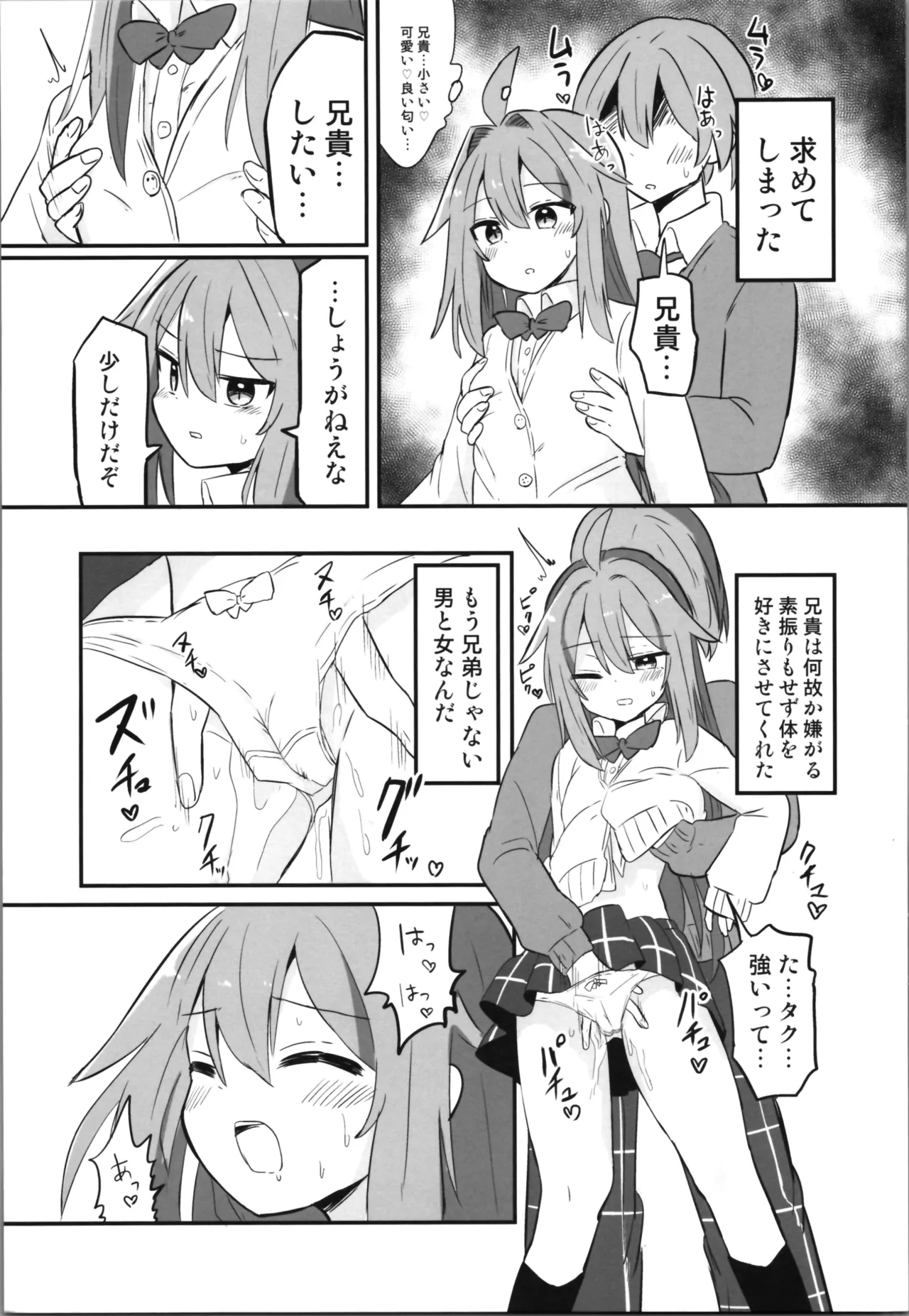 (C105) [Saneyarou] Making TS Aniki understand 이미지 번호 21