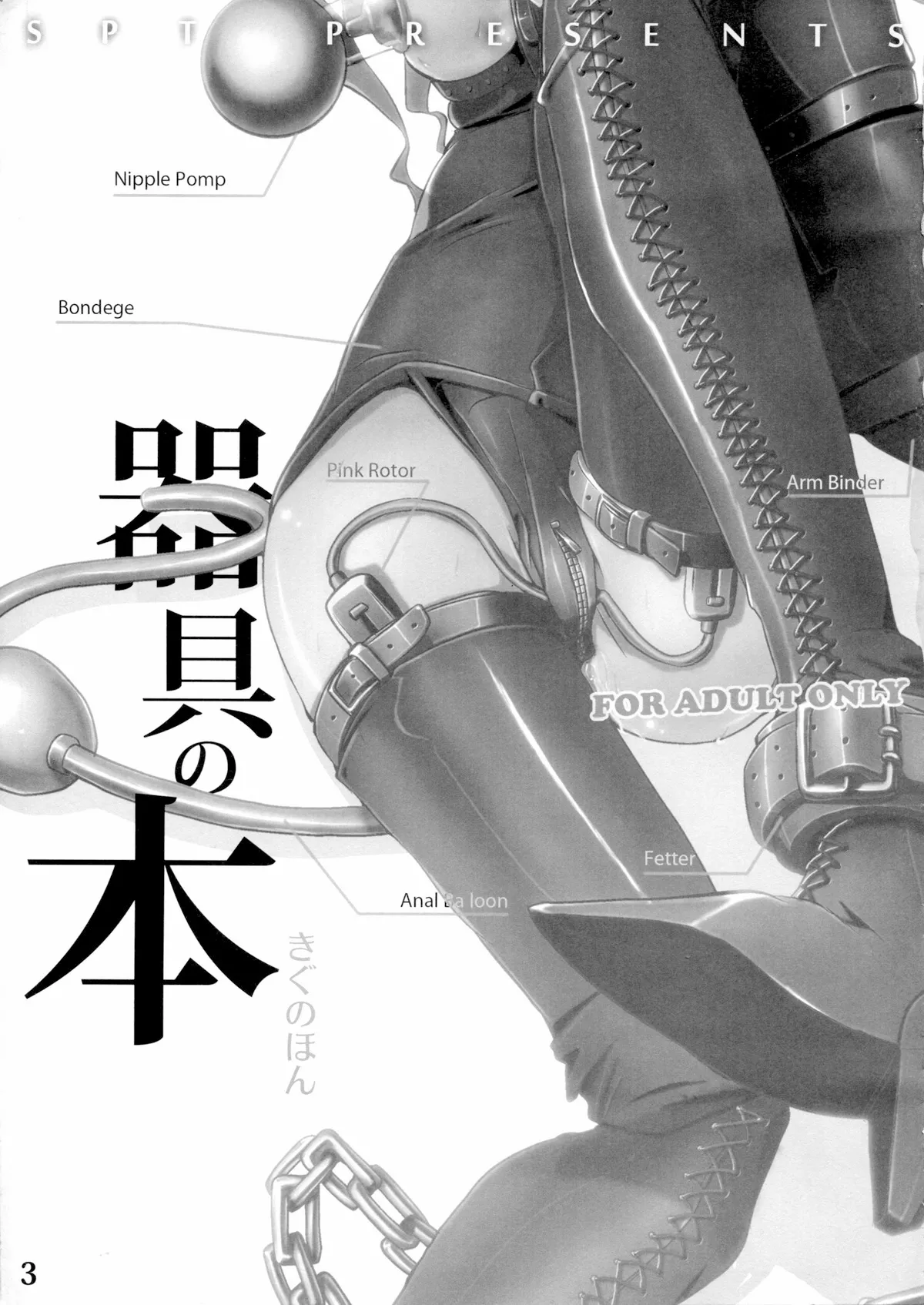 (C77) [SPT (Kakenasi, Kouguchi Moto, SHUKO)] Kigu no Hon | 器具の本 [Bismuth个人汉化] изображение № 4