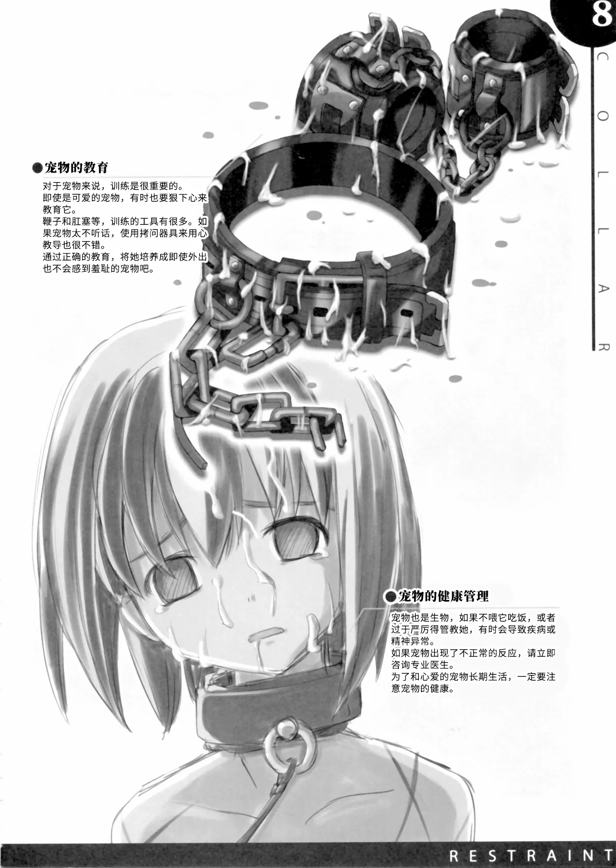 (C77) [SPT (Kakenasi, Kouguchi Moto, SHUKO)] Kigu no Hon | 器具の本 [Bismuth个人汉化] изображение № 9