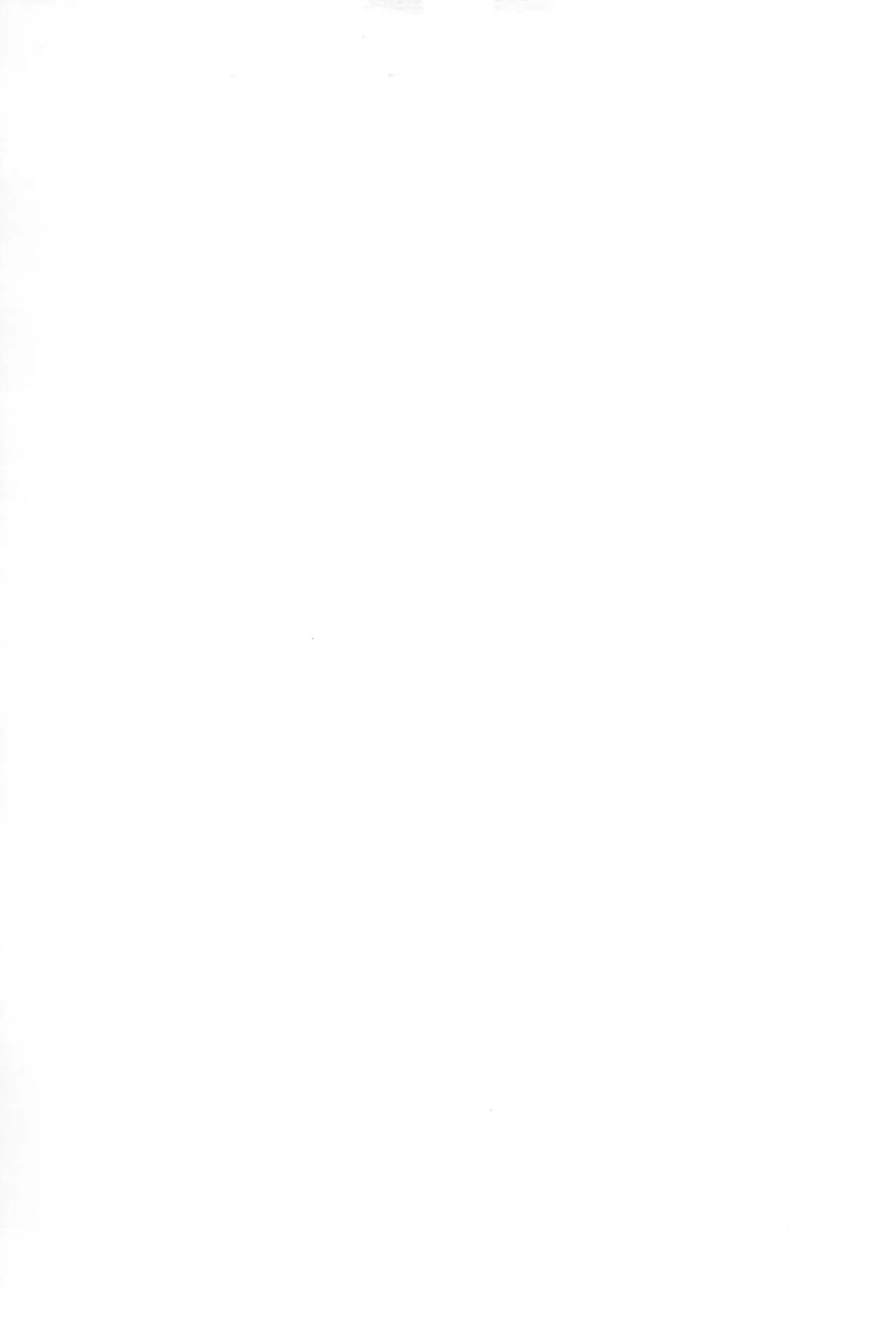 (C105) [Silverburn (Shirayuki)] Tamashii no Jubaku 图片编号 2