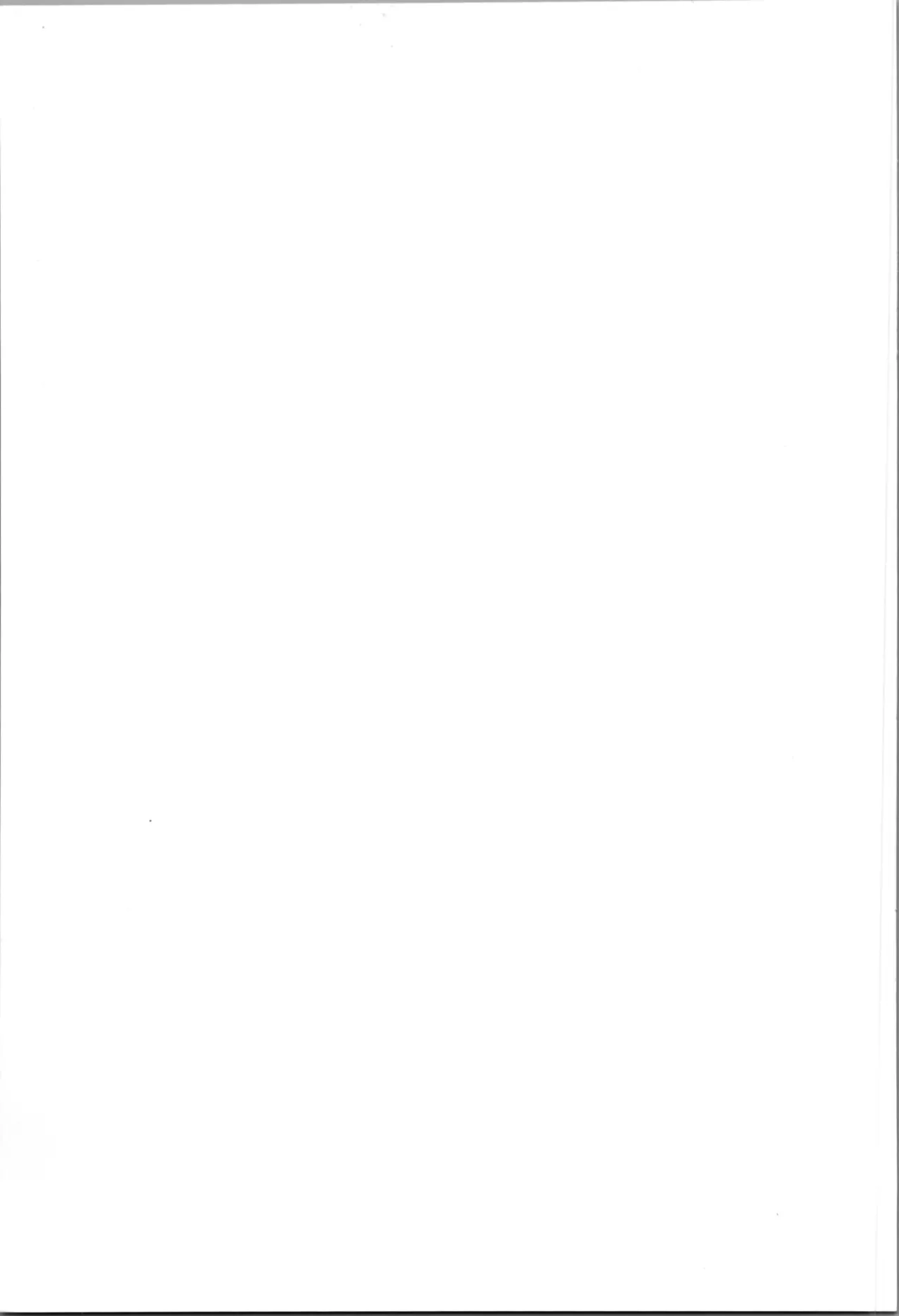 (C105) [Silverburn (Shirayuki)] Tamashii no Jubaku 图片编号 35