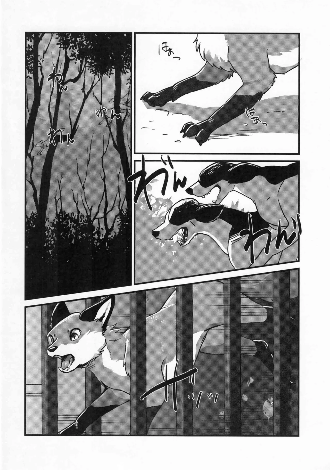 (Kemoket 15) [Kon Juuichibai (Momou)] Fox and Good Dog 画像番号 3