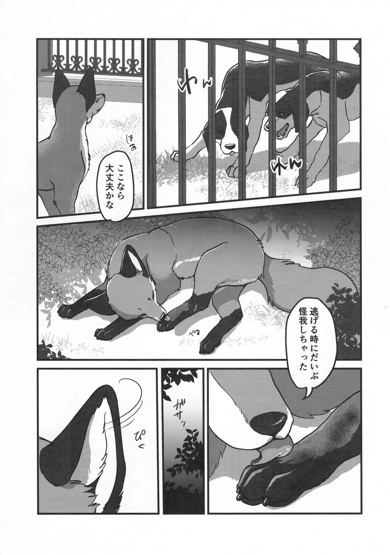 (Kemoket 15) [Kon Juuichibai (Momou)] Fox and Good Dog 画像番号 4