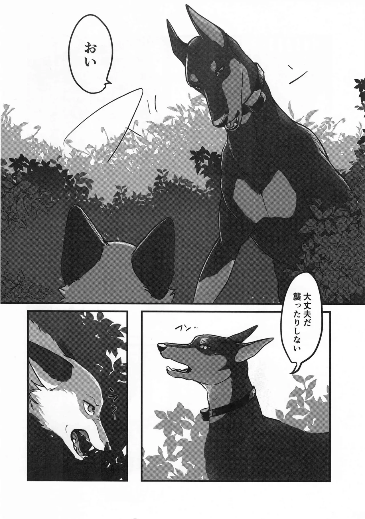 (Kemoket 15) [Kon Juuichibai (Momou)] Fox and Good Dog 画像番号 5